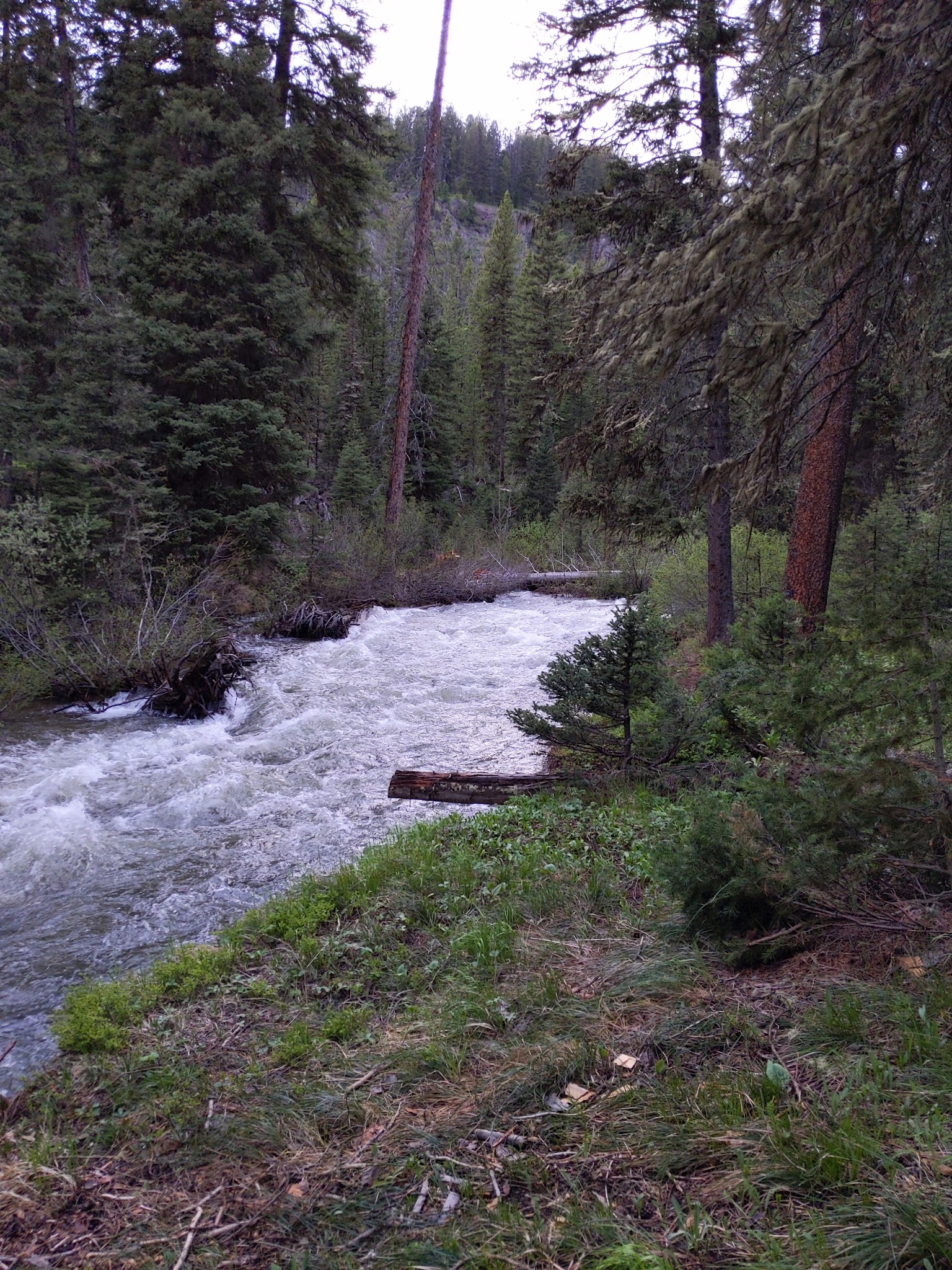 Bear Creek Campground