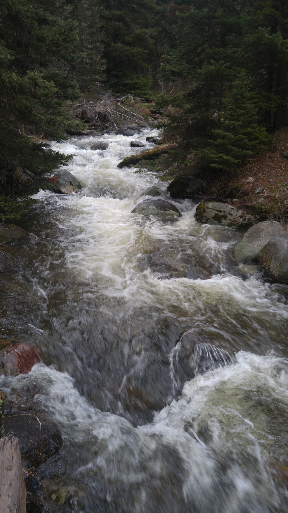 Bear Creek Campground