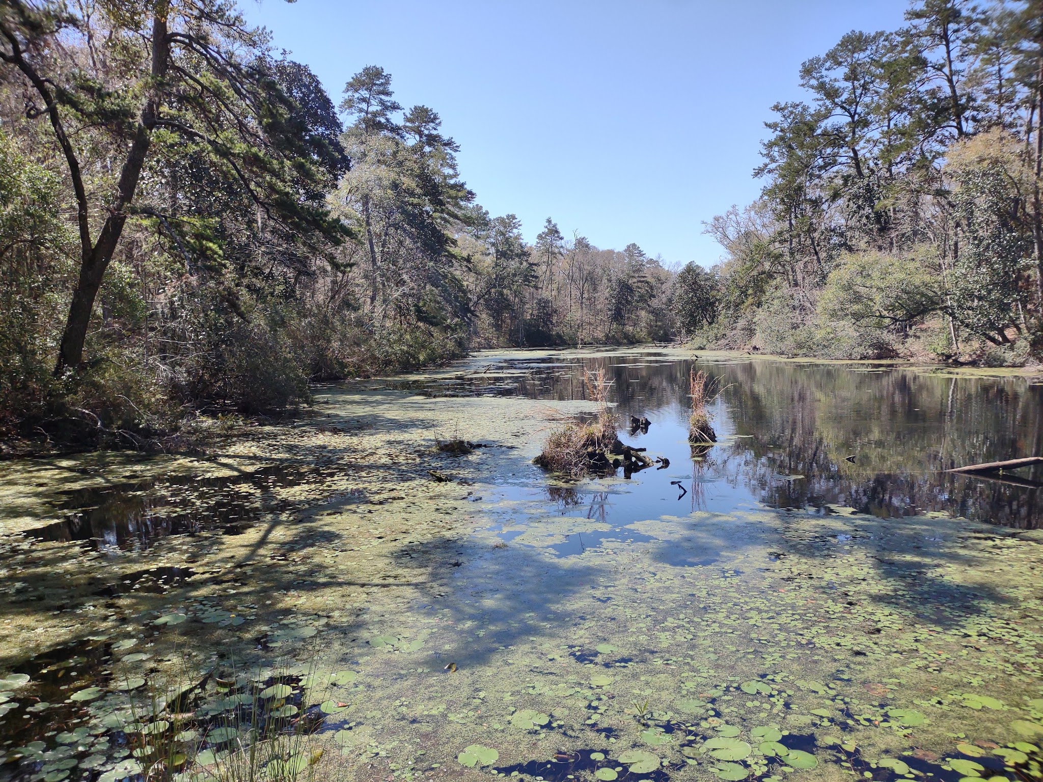 Bear Creek  Group Camp Lake Talquin State Forest
