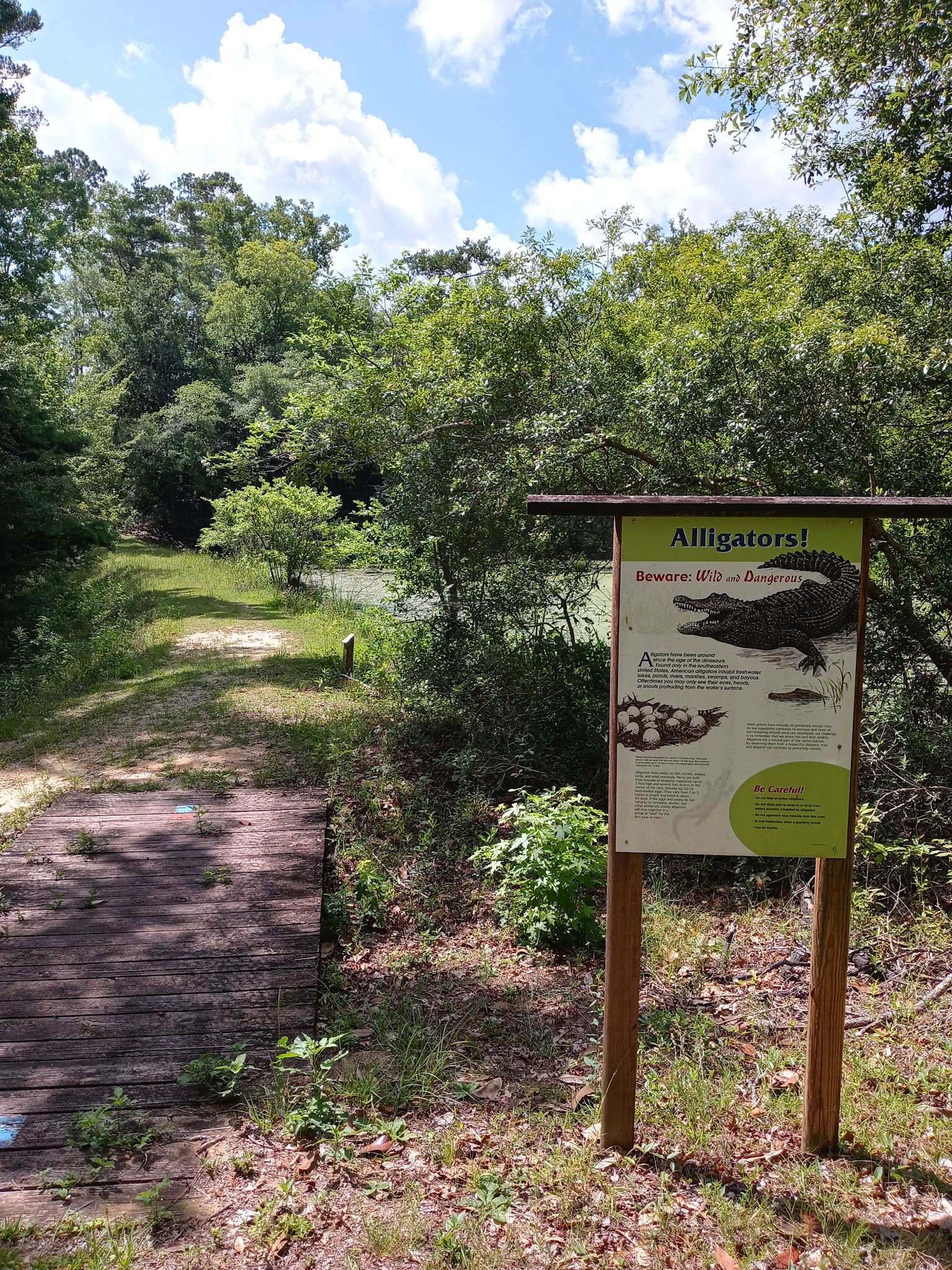 Bear Creek  Group Camp Lake Talquin State Forest