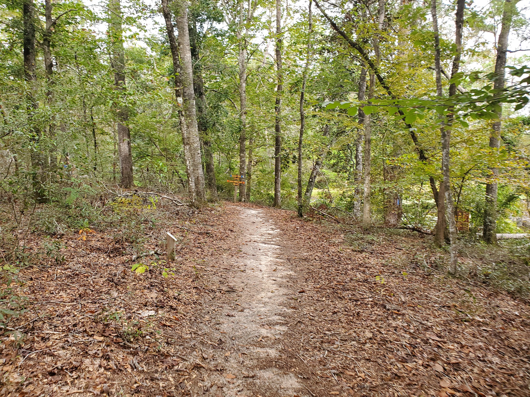 Bear Creek  Group Camp Lake Talquin State Forest