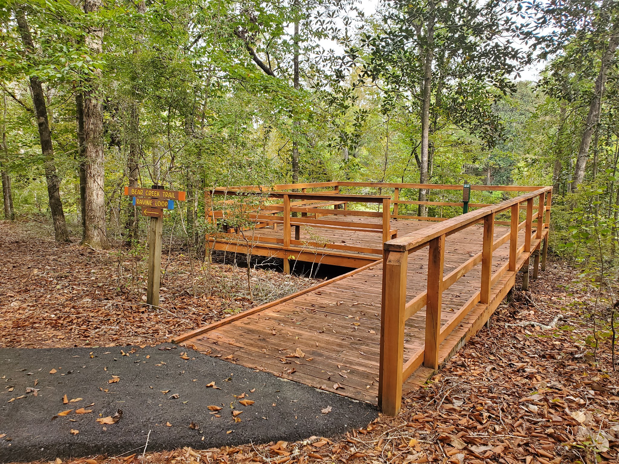 Bear Creek  Group Camp Lake Talquin State Forest