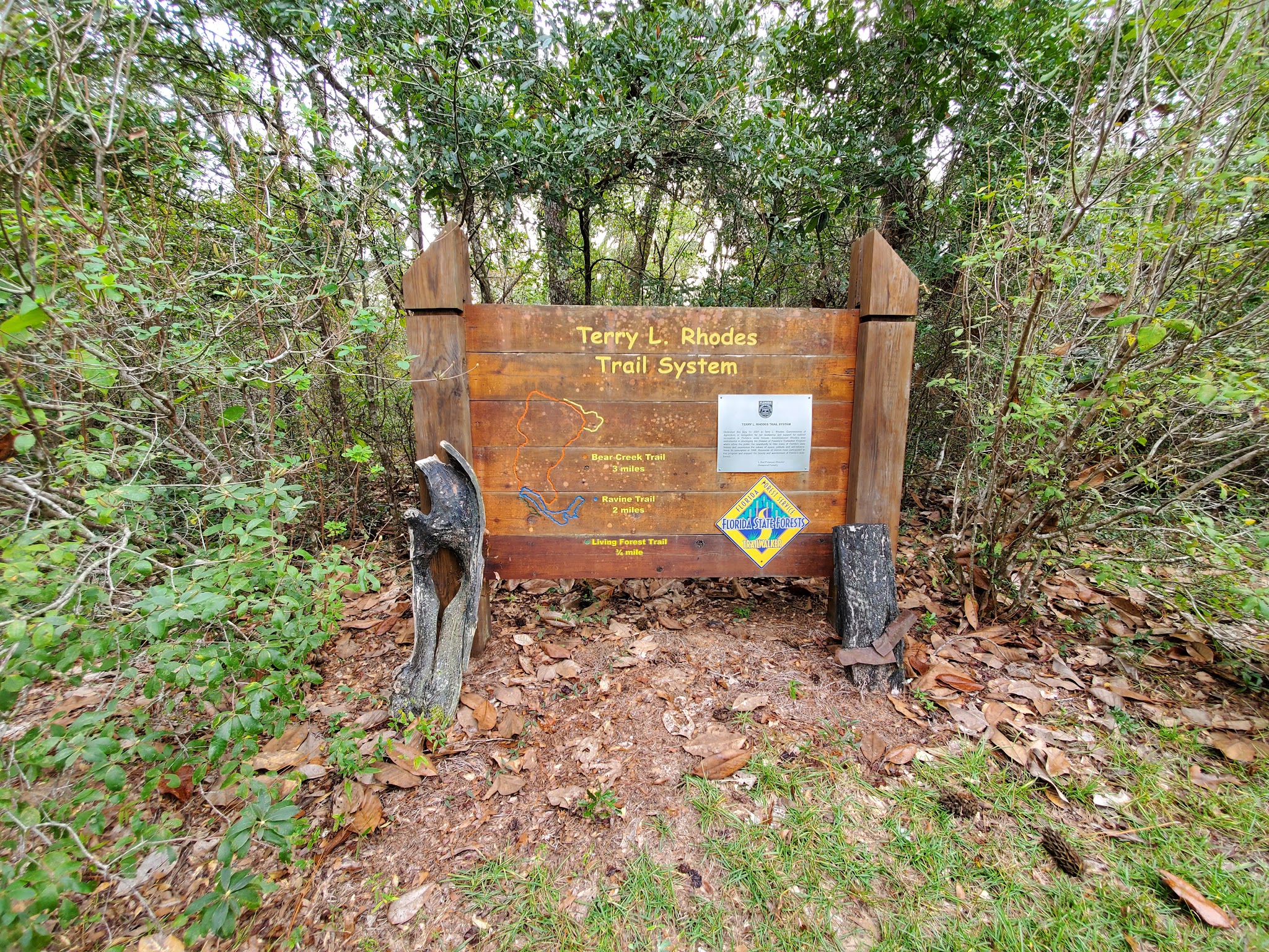 Bear Creek  Group Camp Lake Talquin State Forest