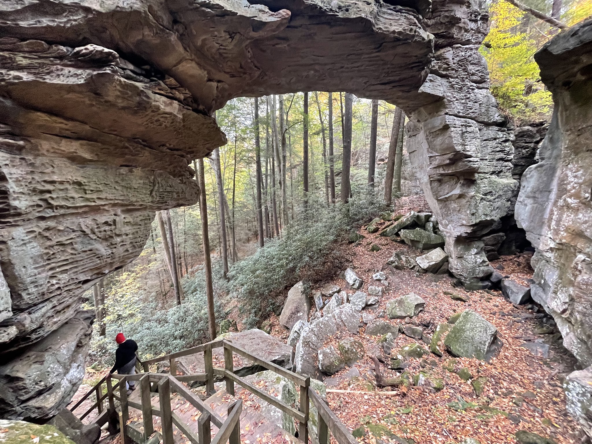 Bear Creek Campground - Ky