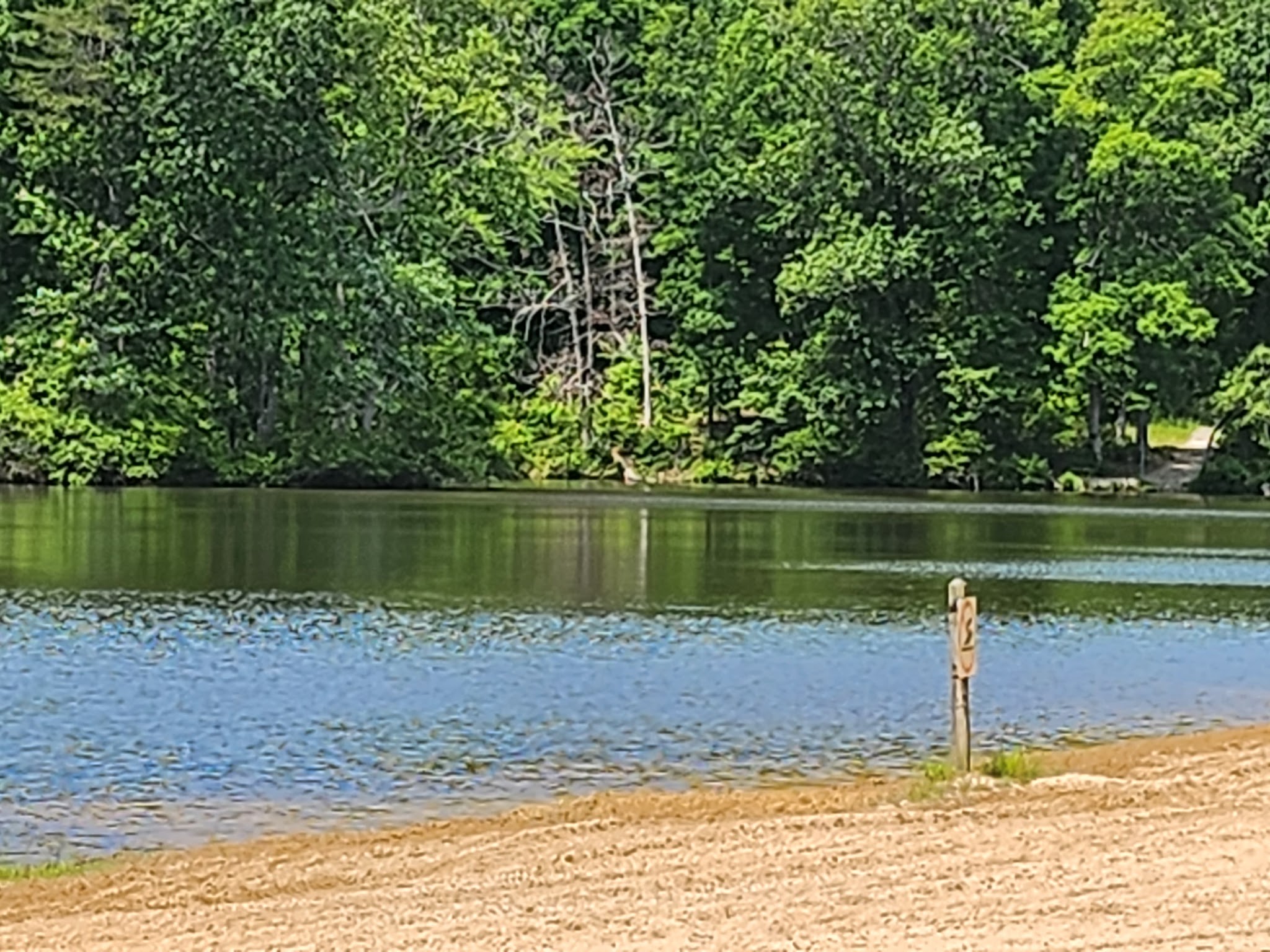 Black Oak Campground