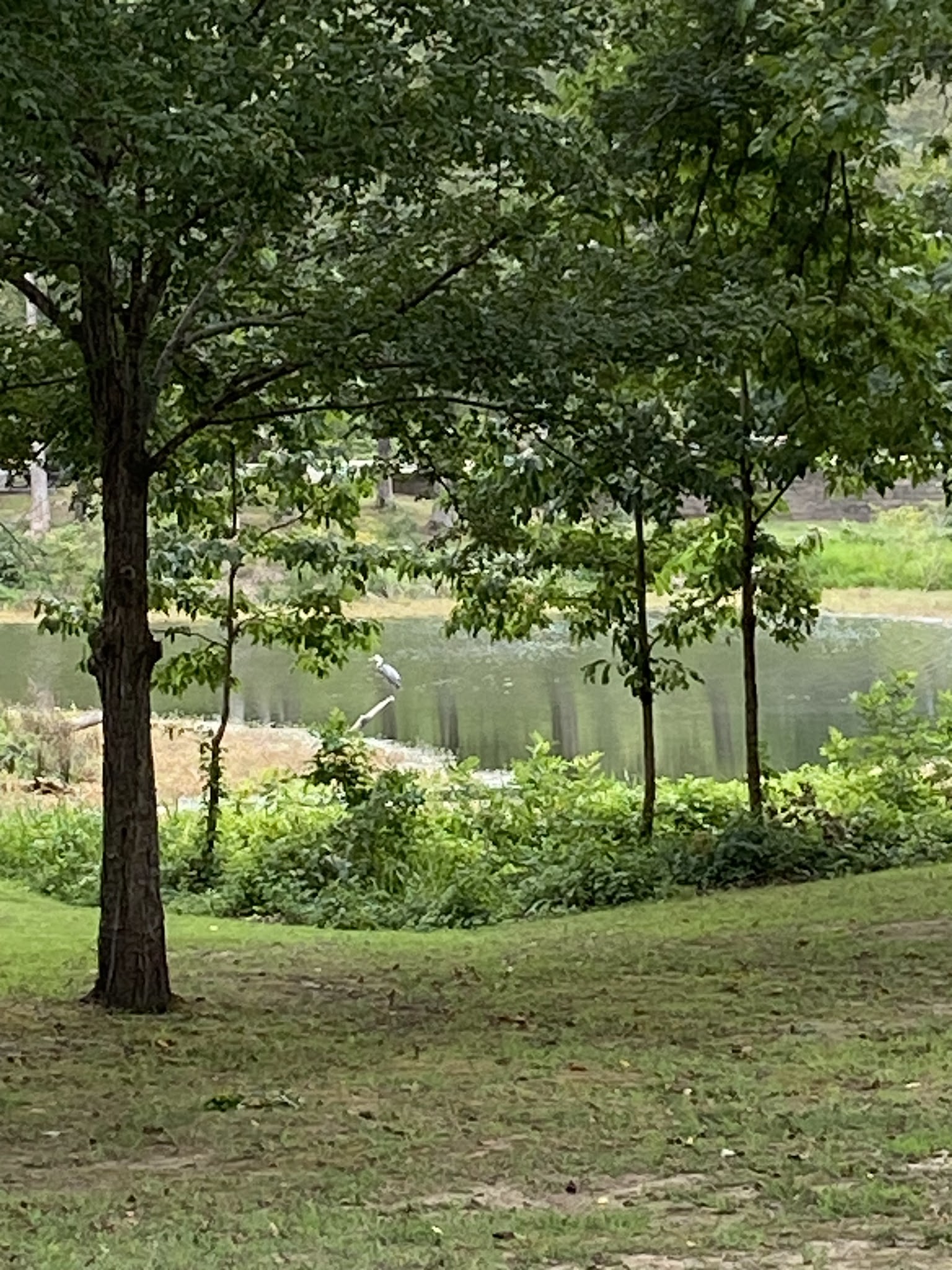 Bear Creek Lake Recreation Area