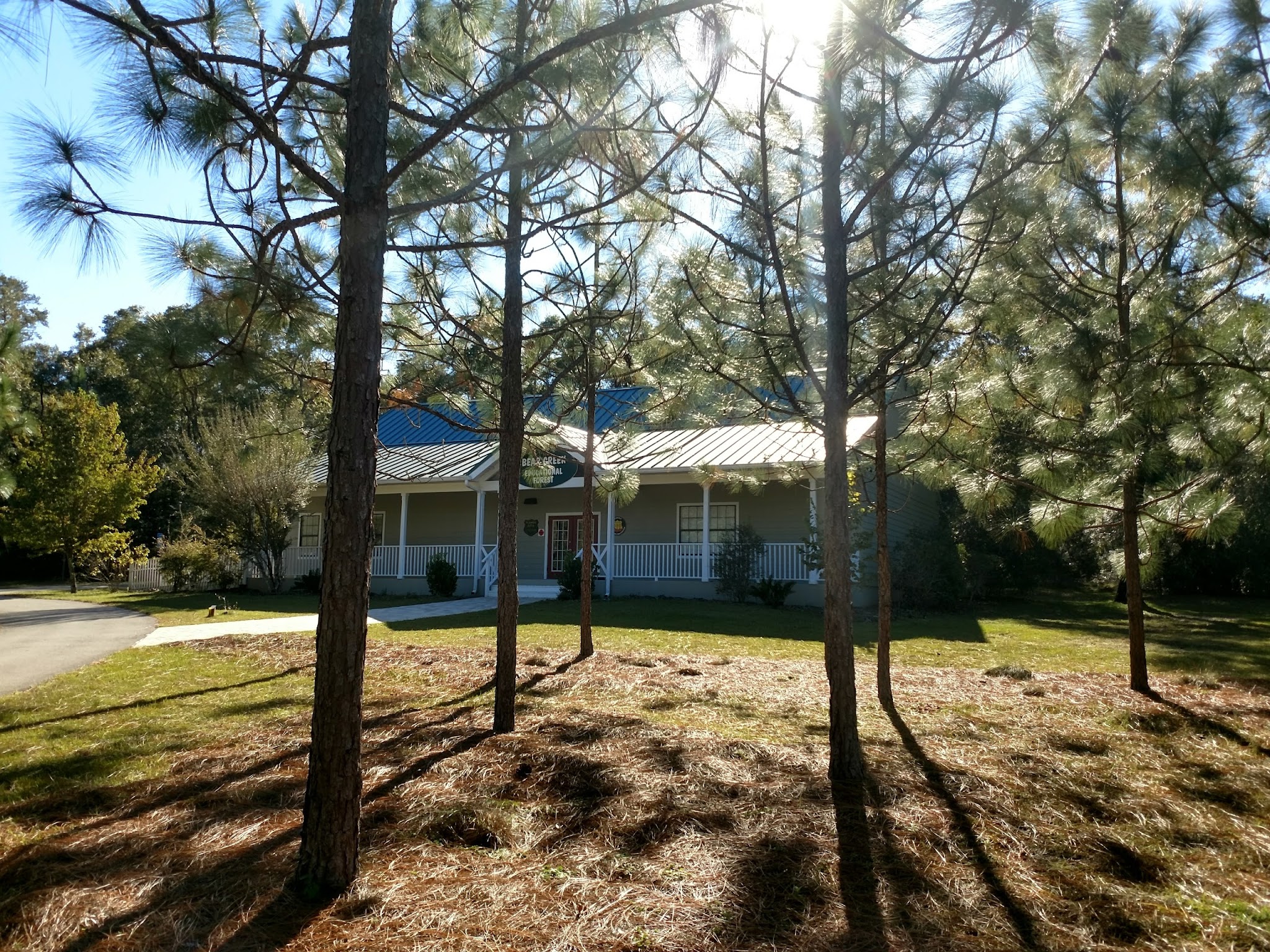 Bear Creek  Group Camp Lake Talquin State Forest