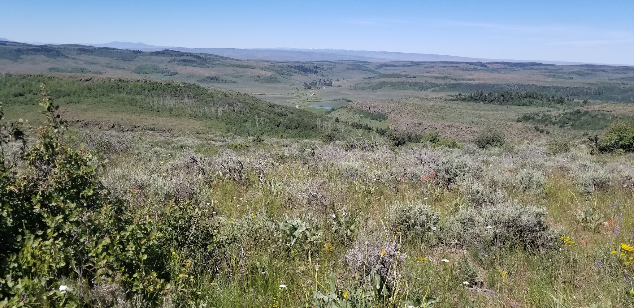 Bear Gulch Campground