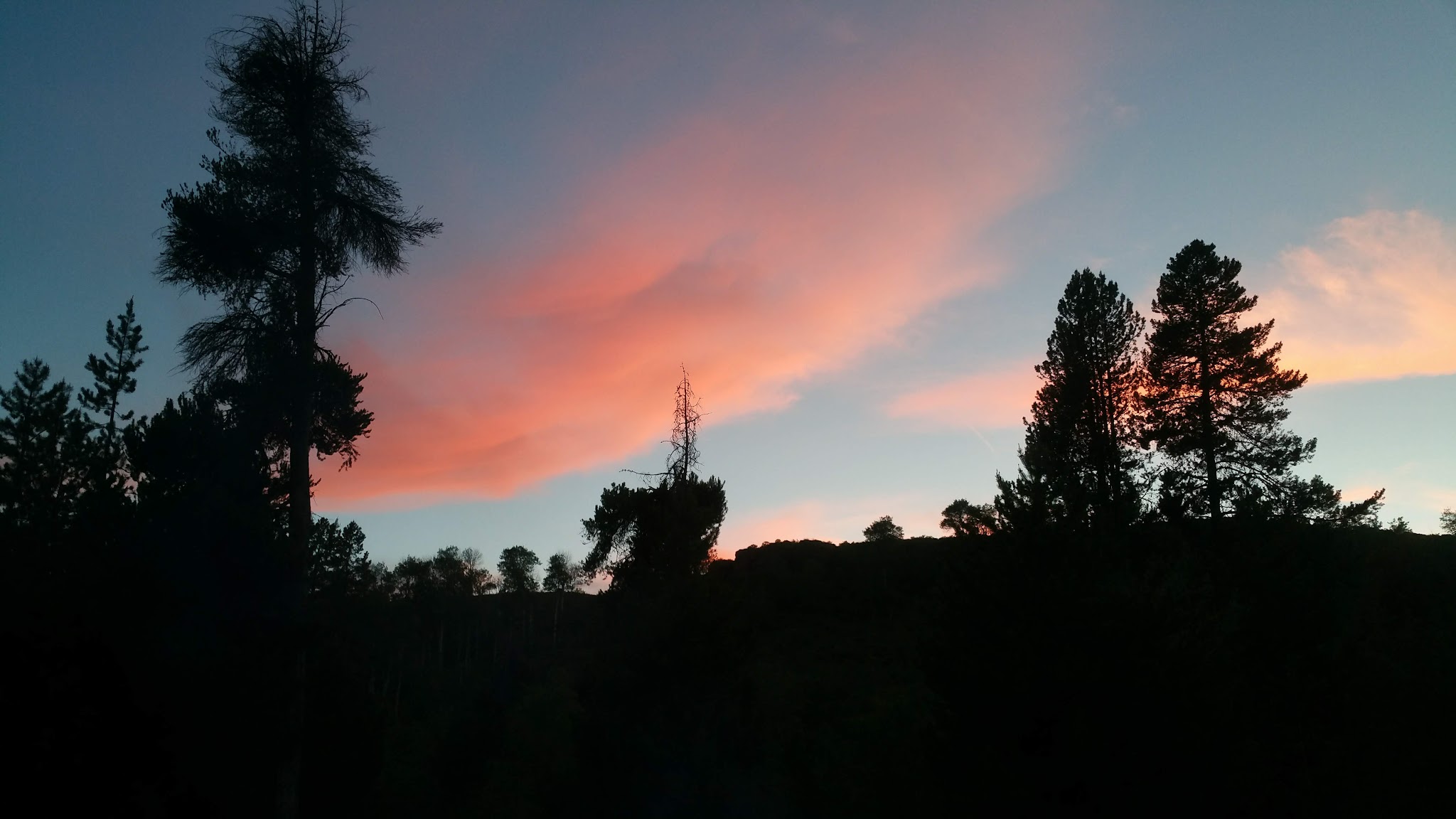 Bear Gulch Campground