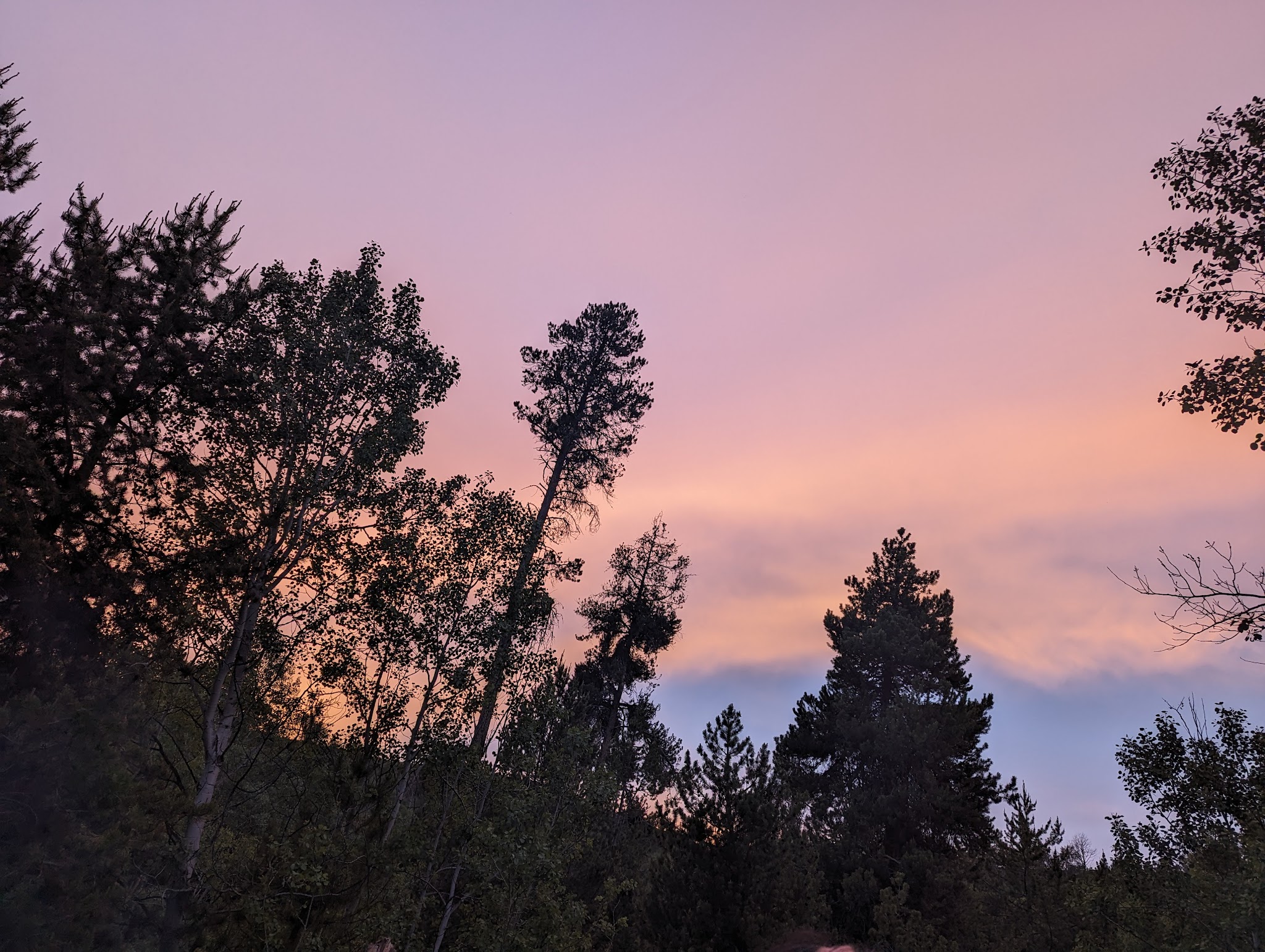 Bear Gulch Campground