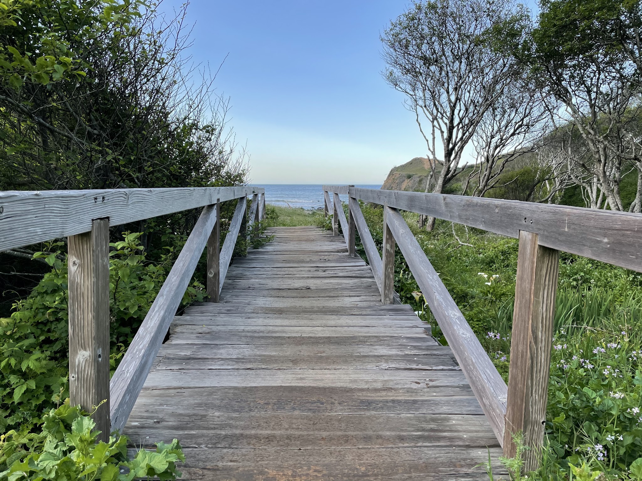 Bear Harbor Campground