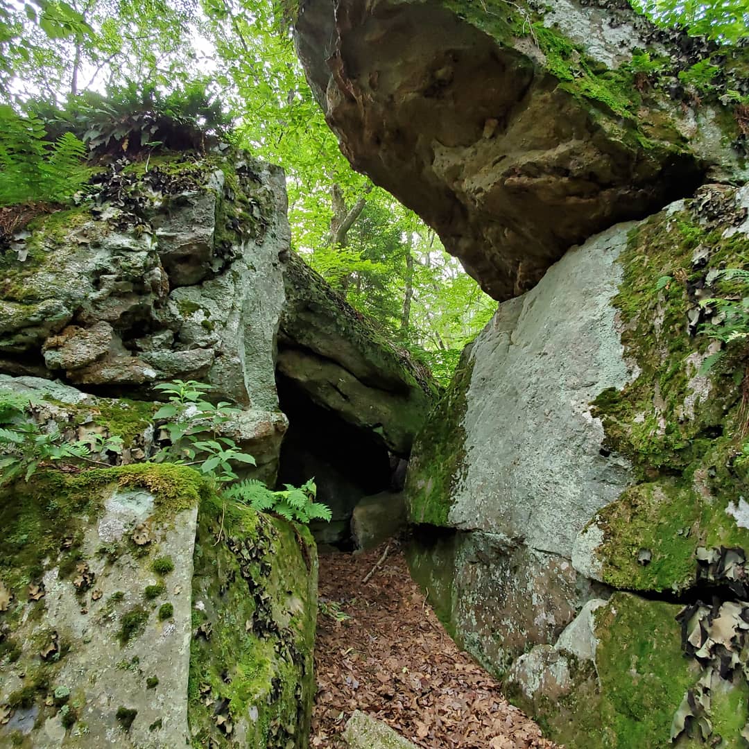 Bear Heaven Campground