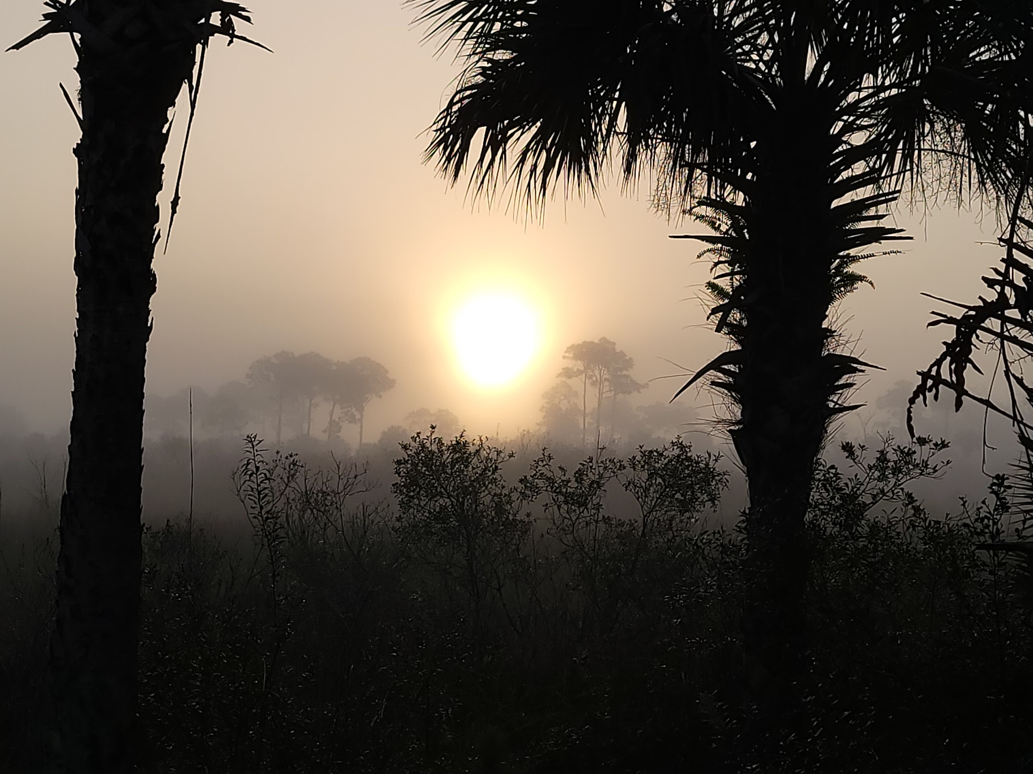 Bear Island Campground