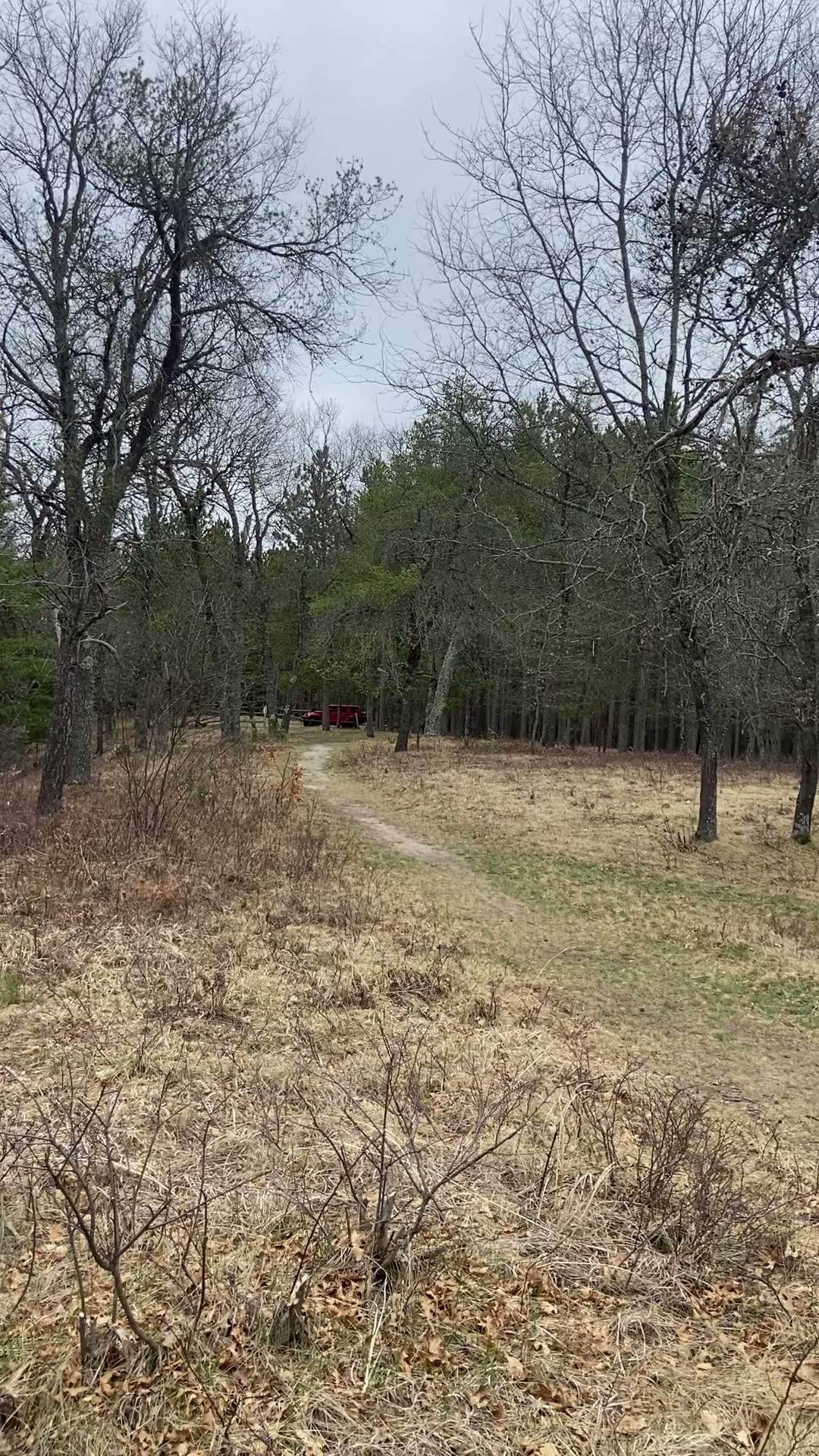 Bear Island Campground