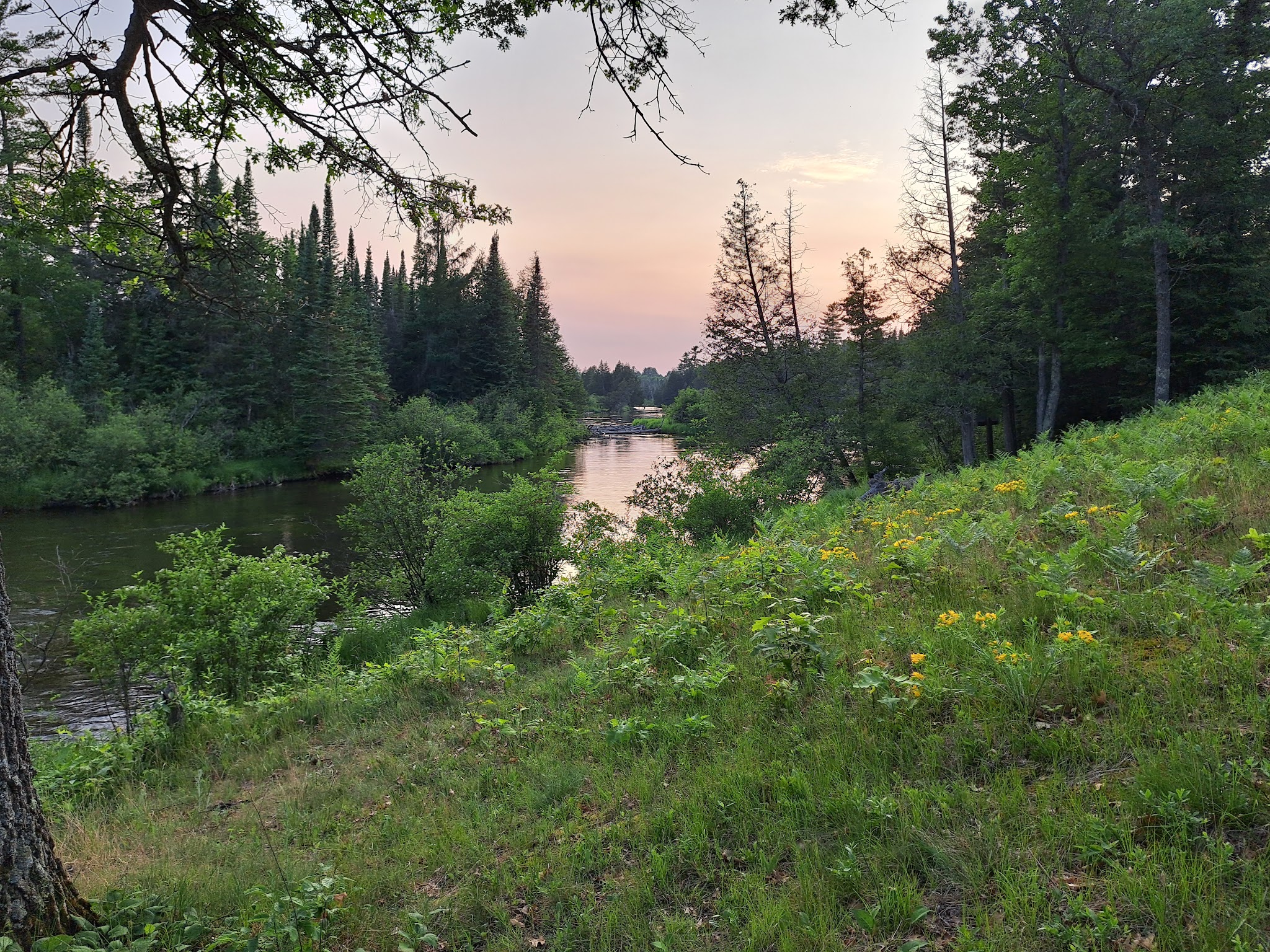Bear Island Campground