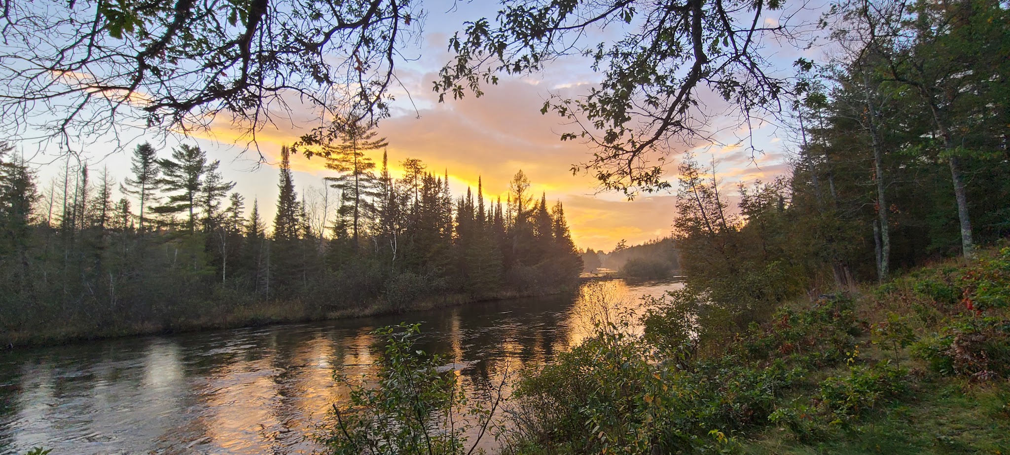 Bear Island Campground