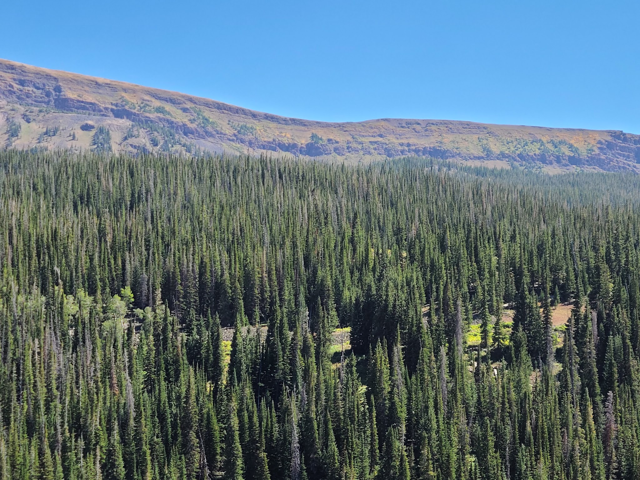Bear Lake Campground