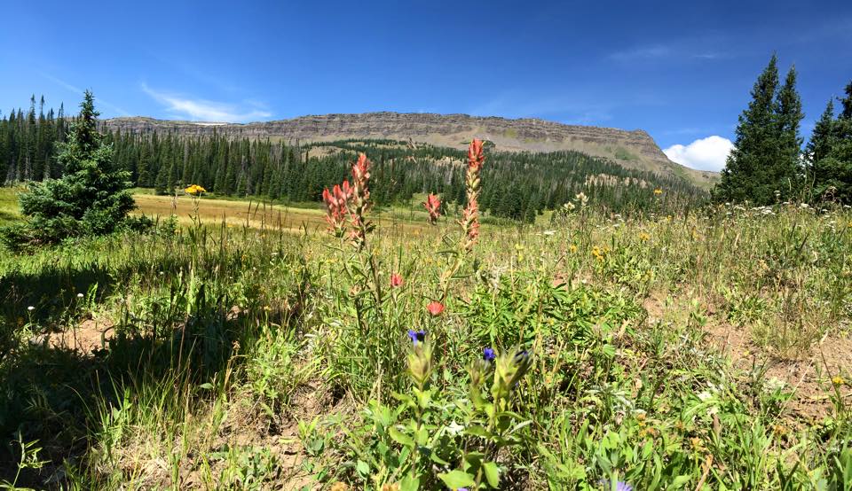 Bear Lake Campground