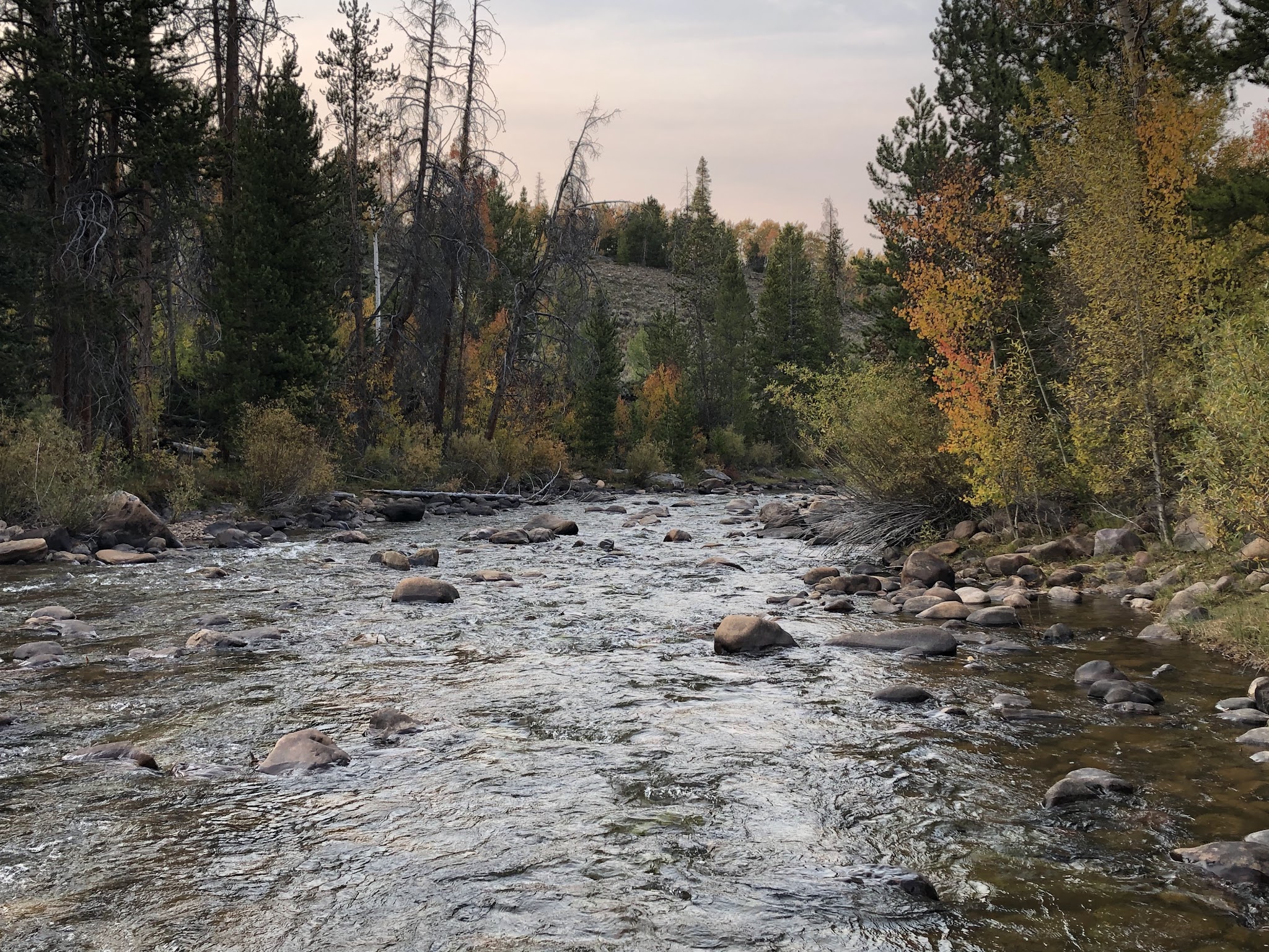Bear River Campground (Uinta-Wasatch-Cache National Forest, Ut)