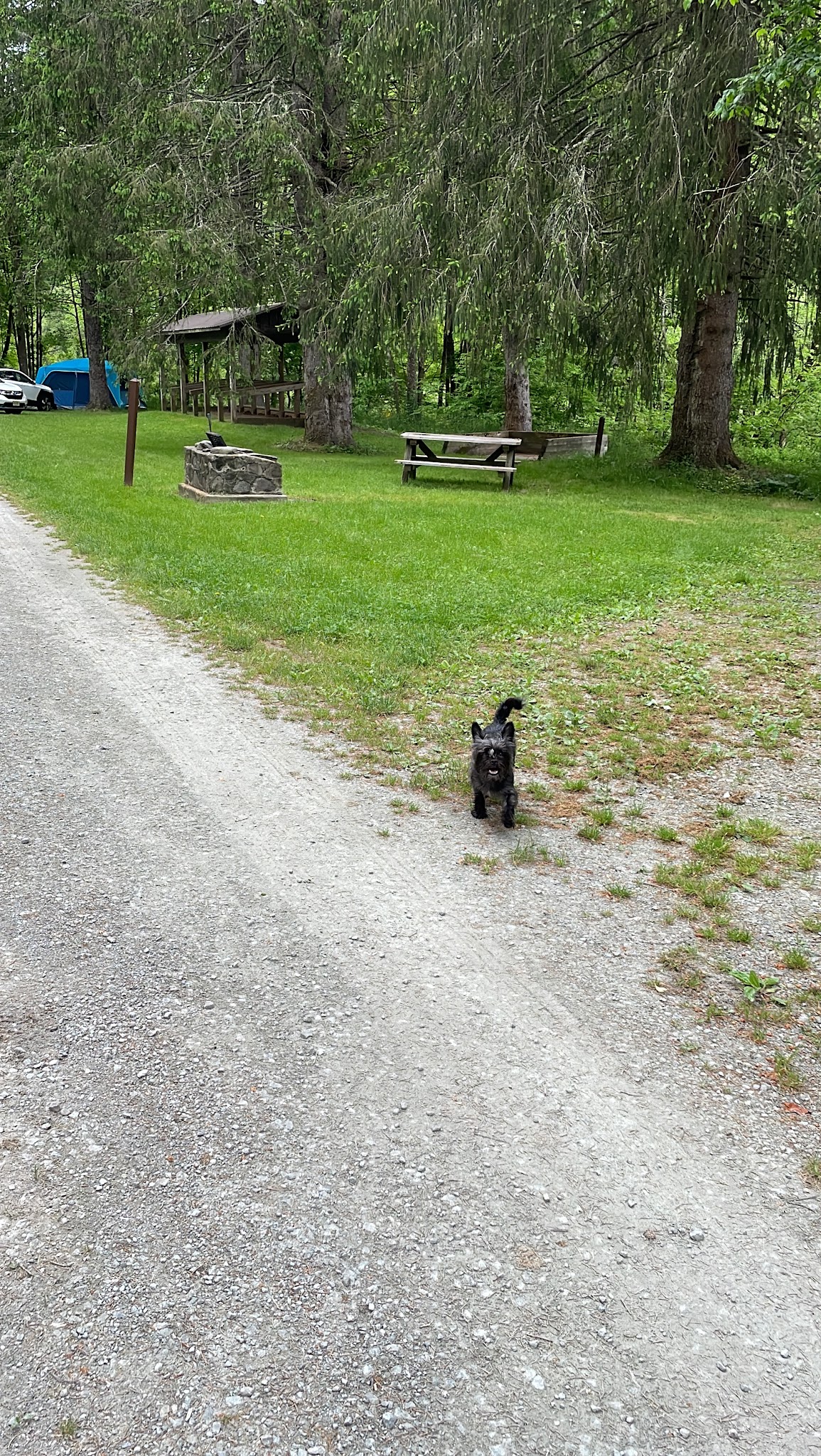 Bear Spring Mountain