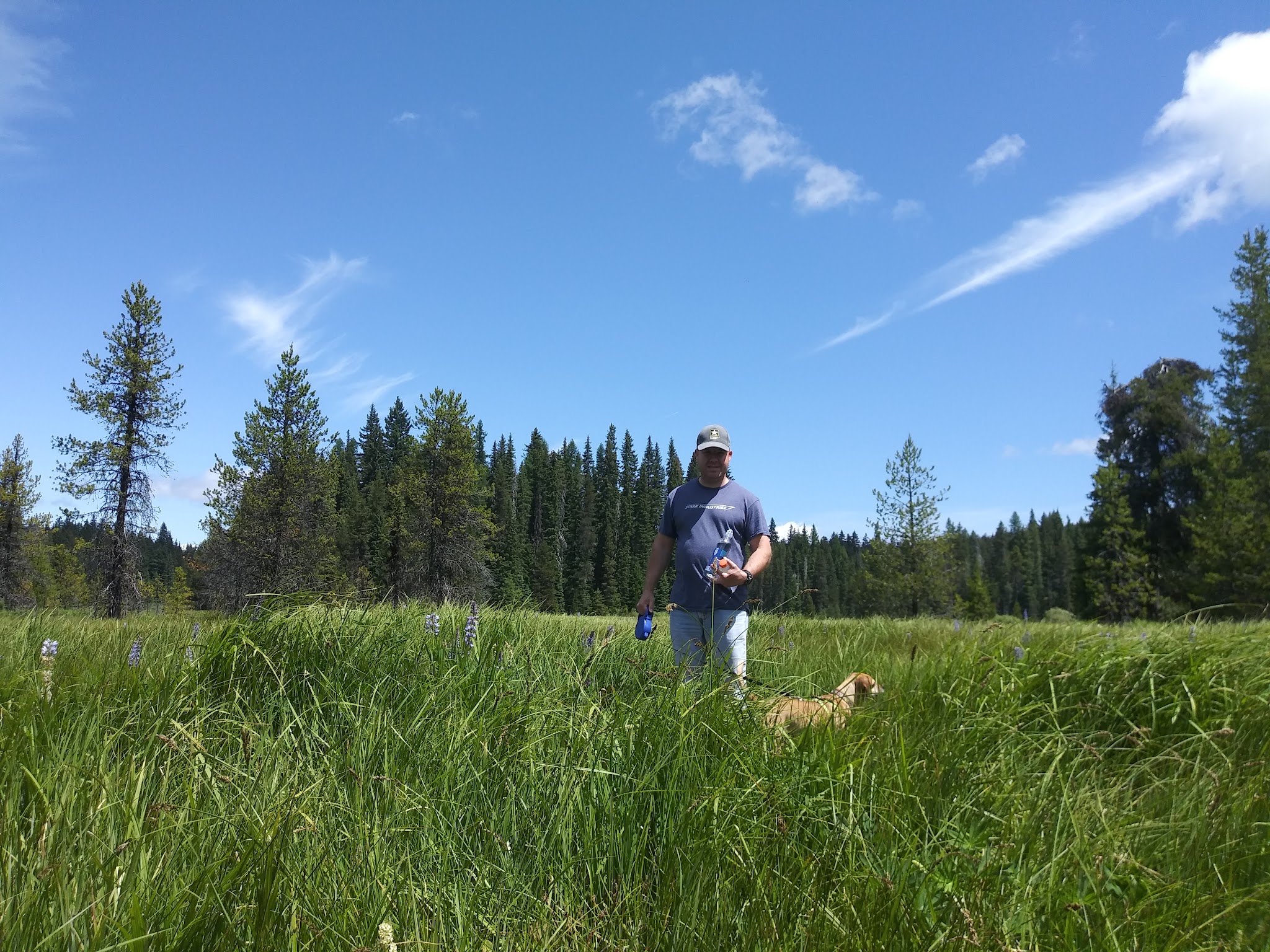 Bear Springs Campground