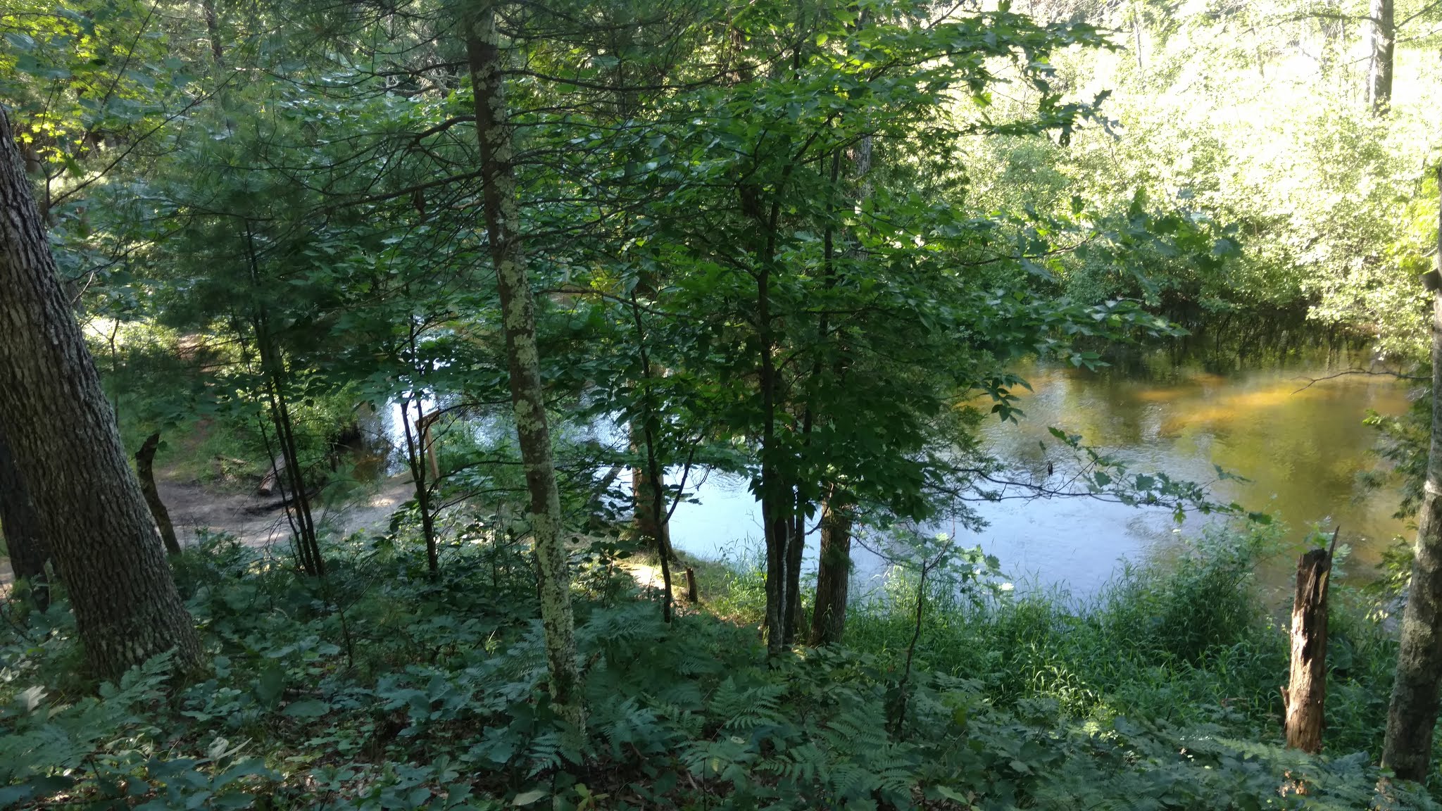 Bear Track Campground