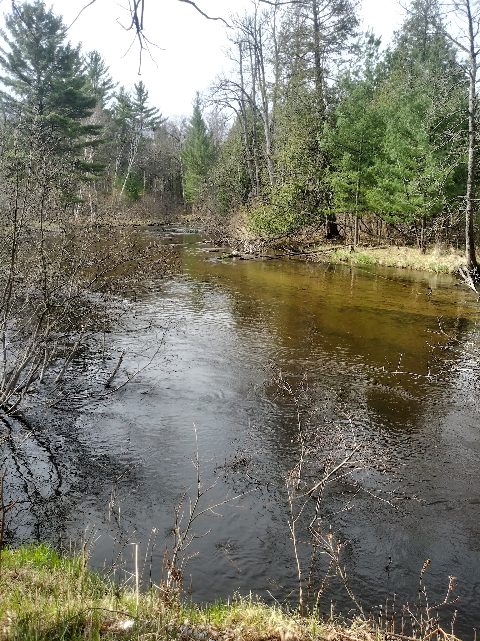 Bear Track Campground