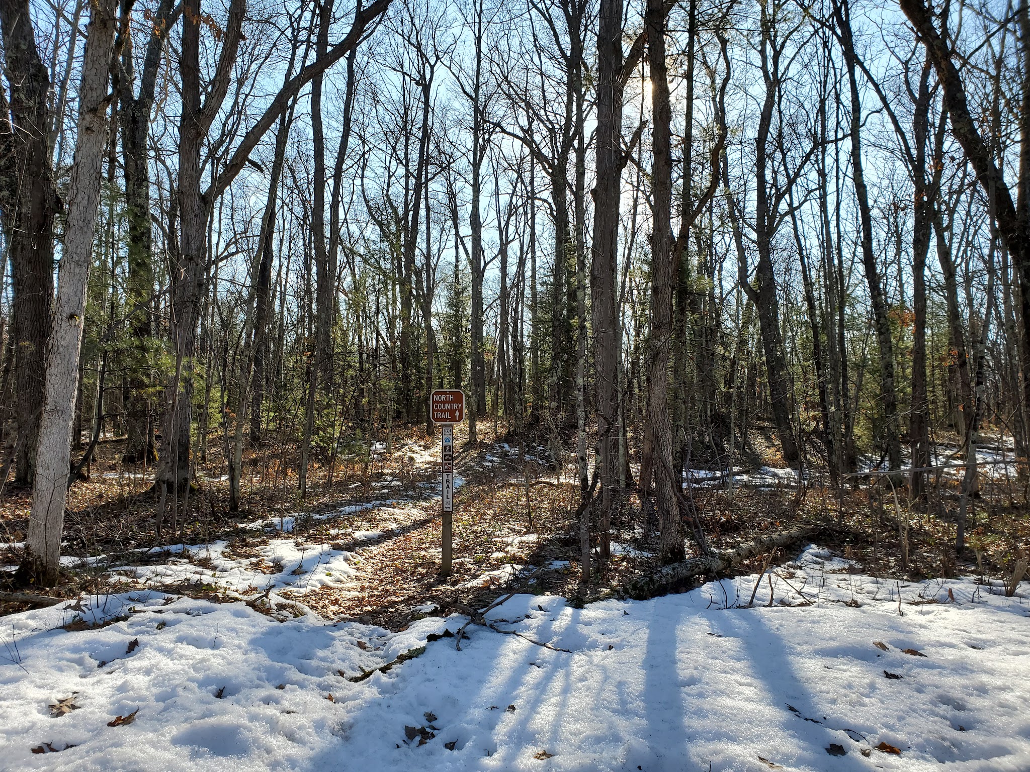 Bear Track Campground