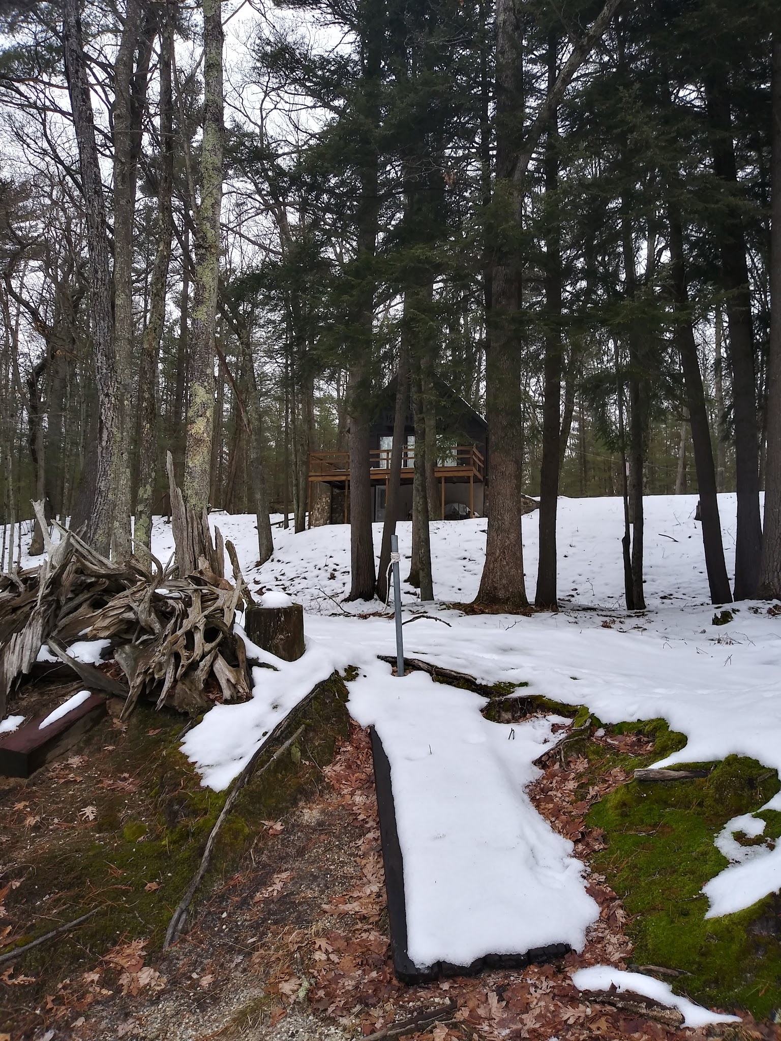 Bear Track Campground