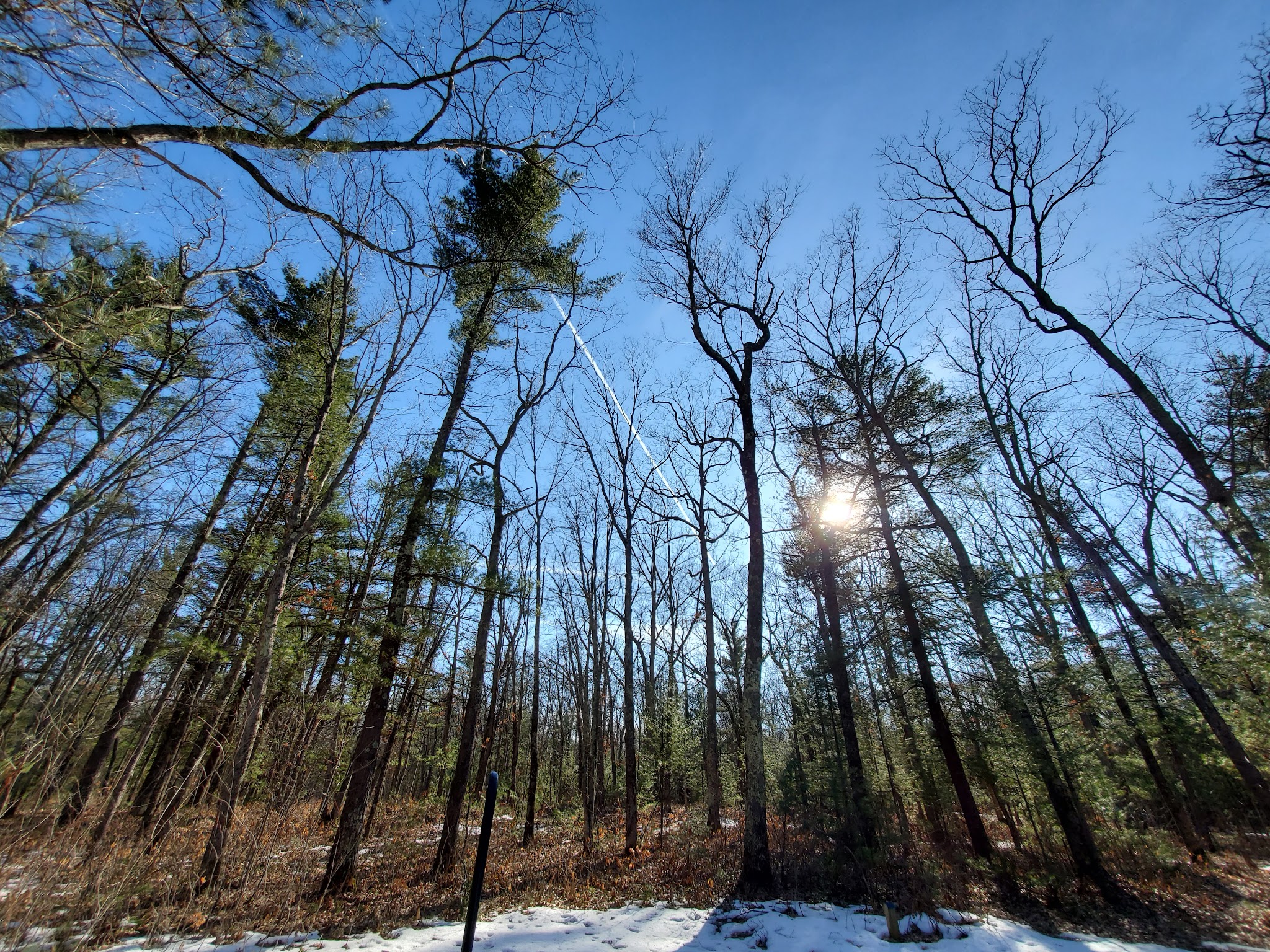 Bear Track Campground