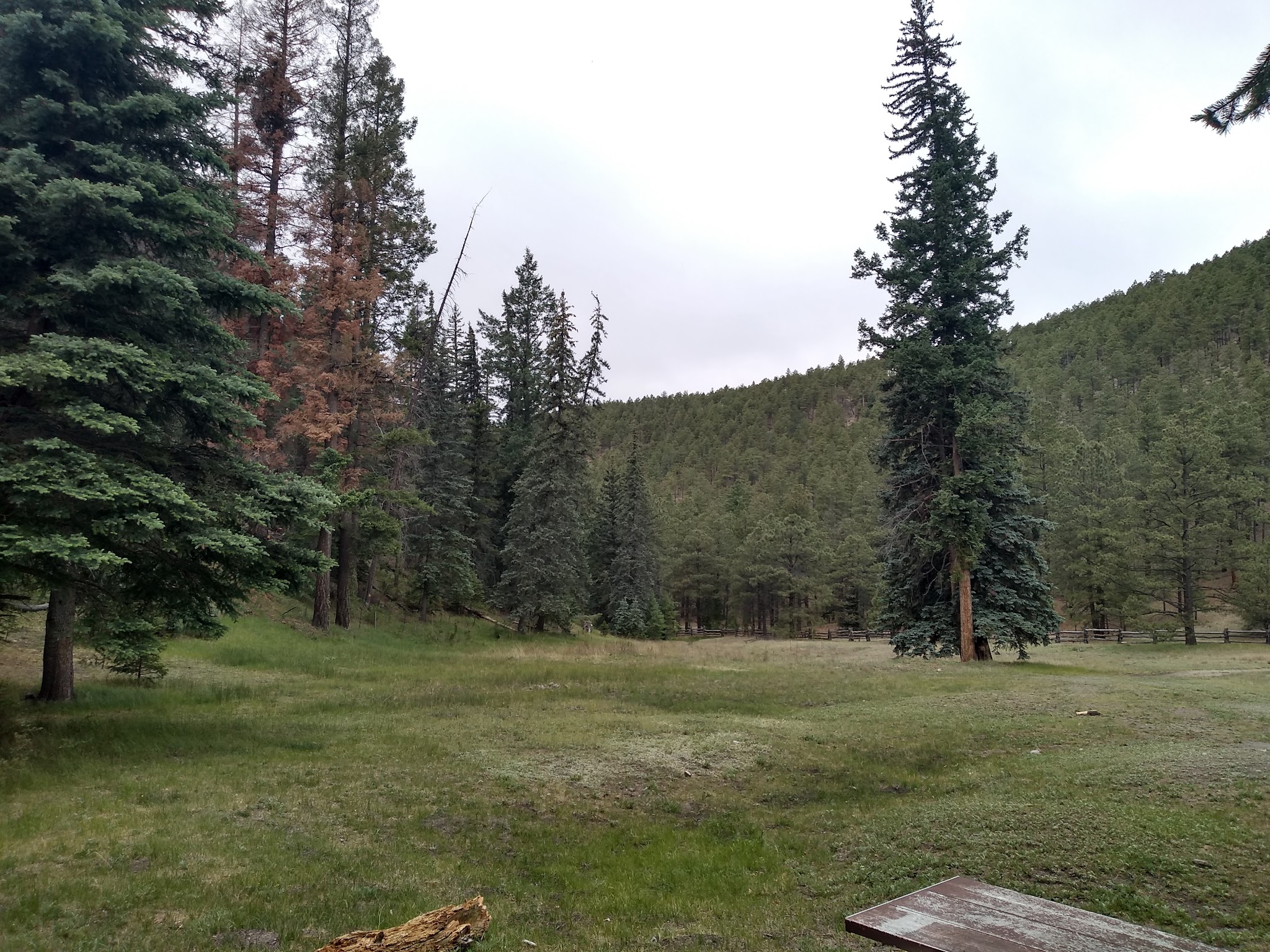 Bear Trap Campground