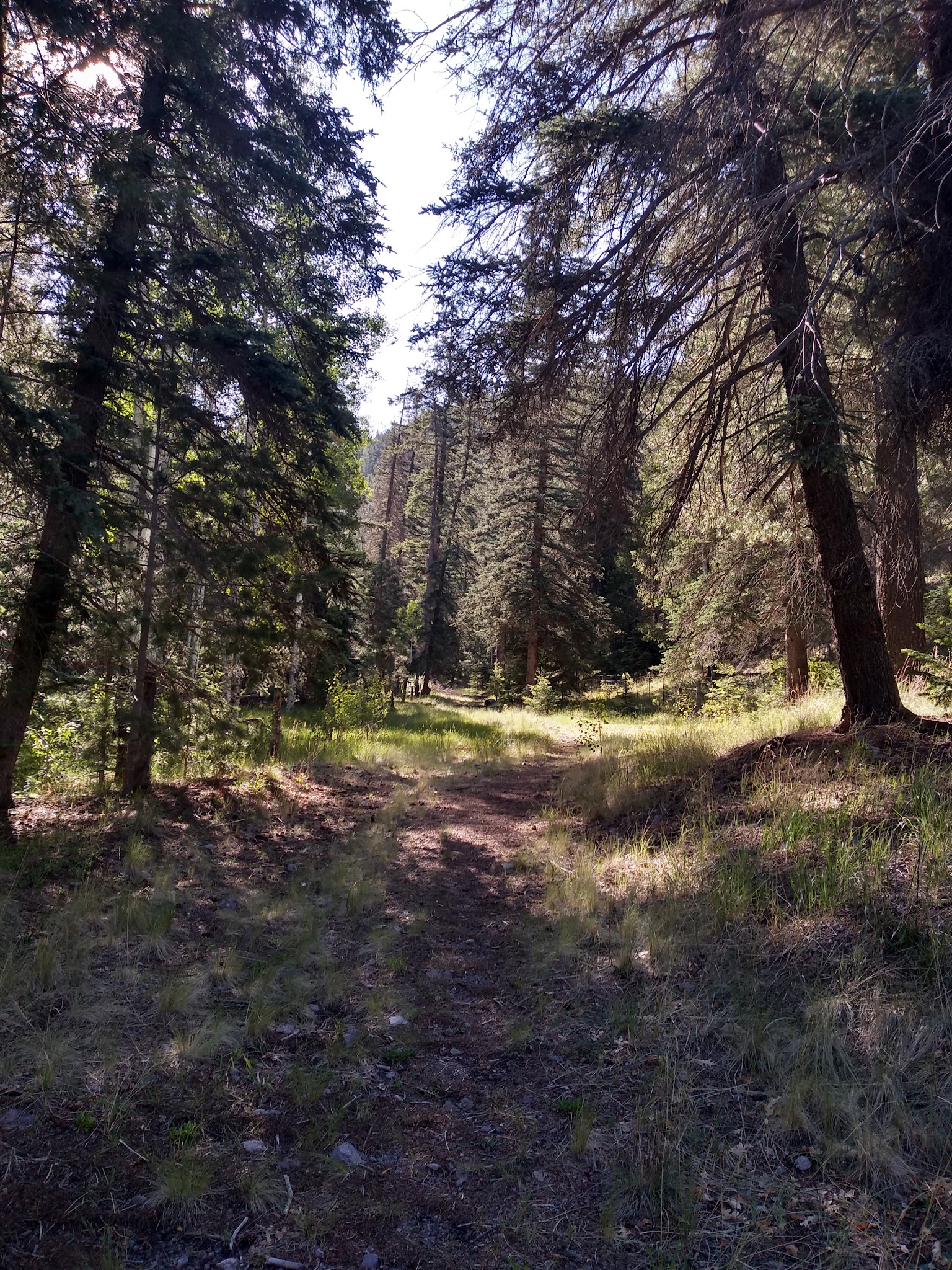 Bear Trap Campground