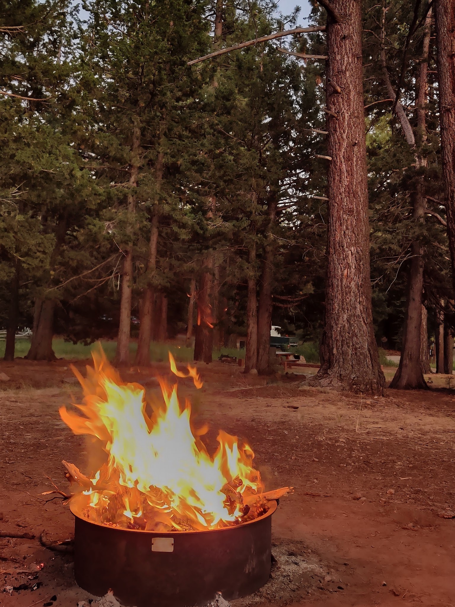 Bear Valley Campground