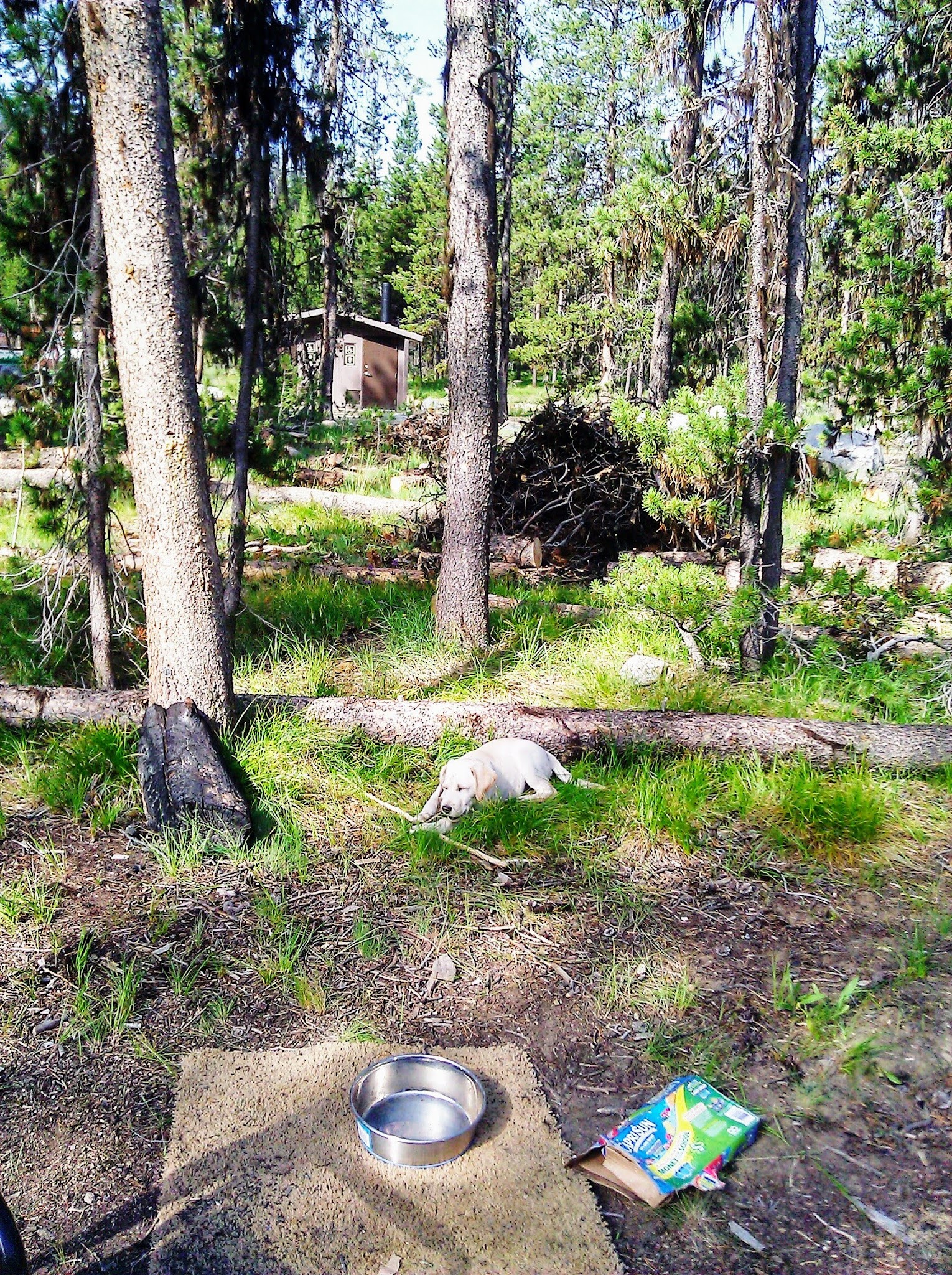 Bear Valley Campground