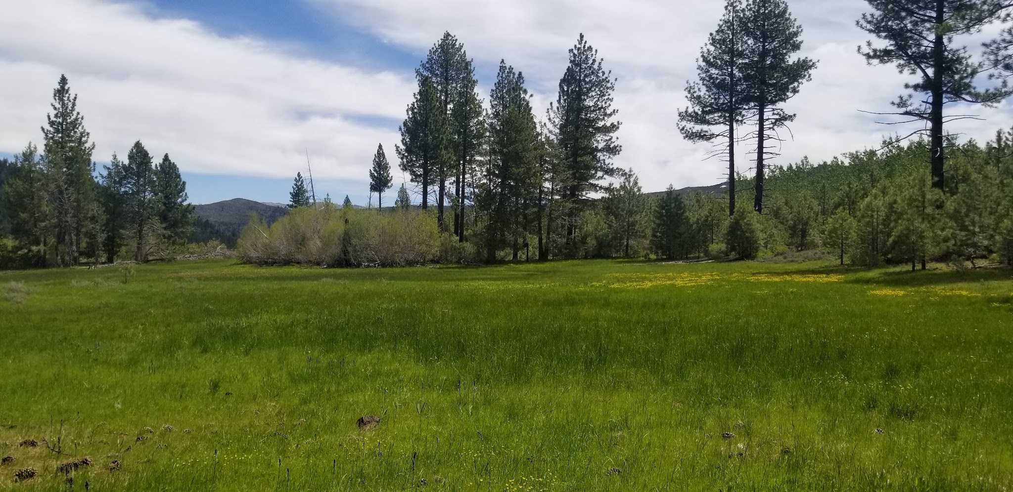 Bear Valley Campground