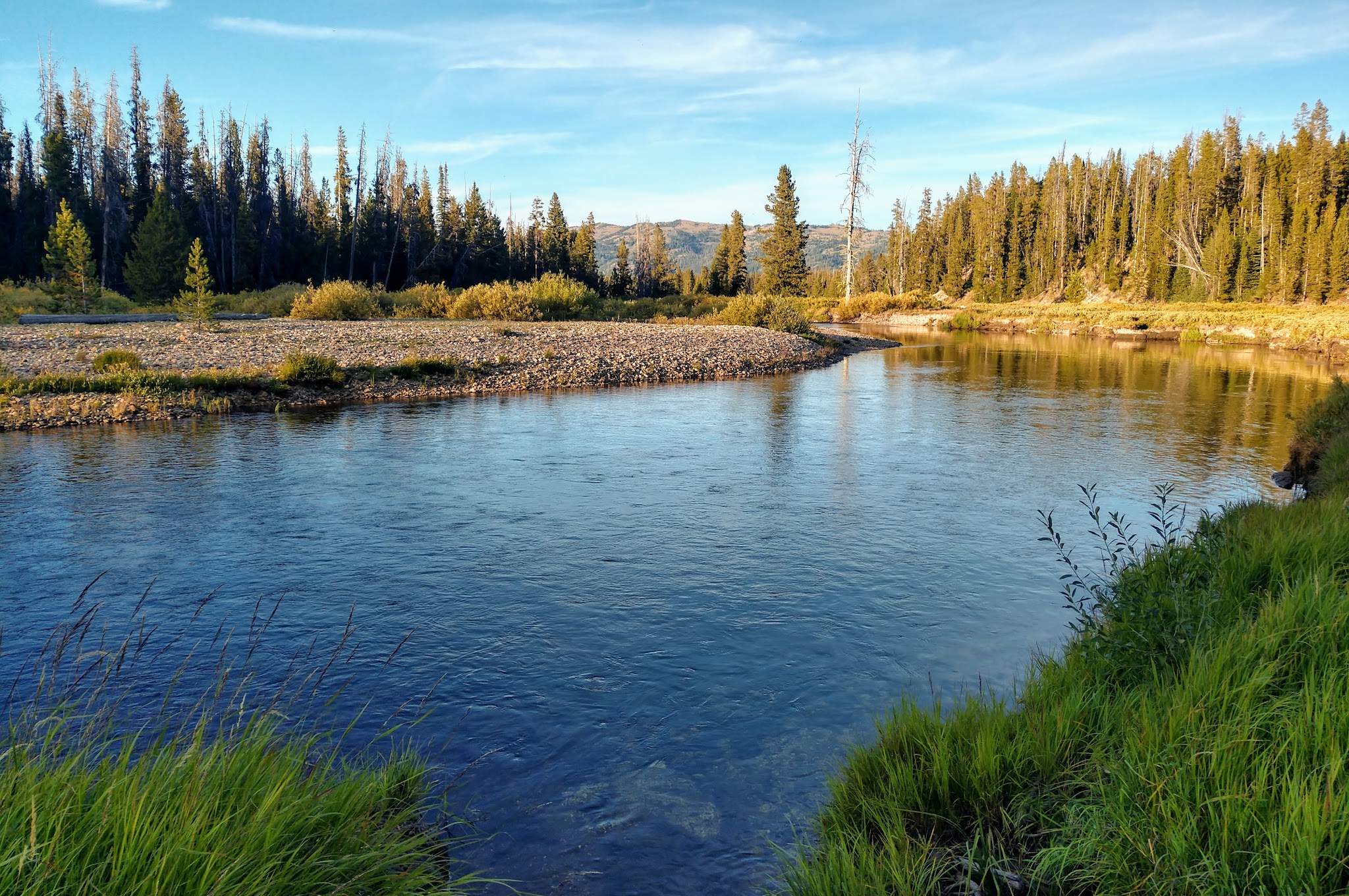 Bear Valley Campground