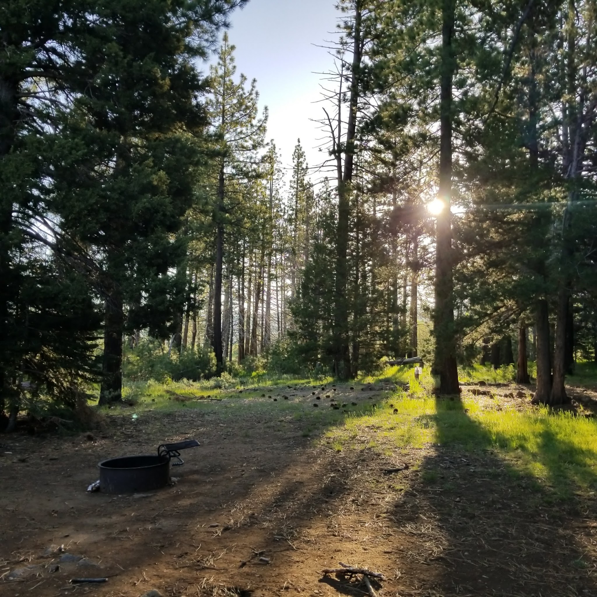 Bear Valley Campground
