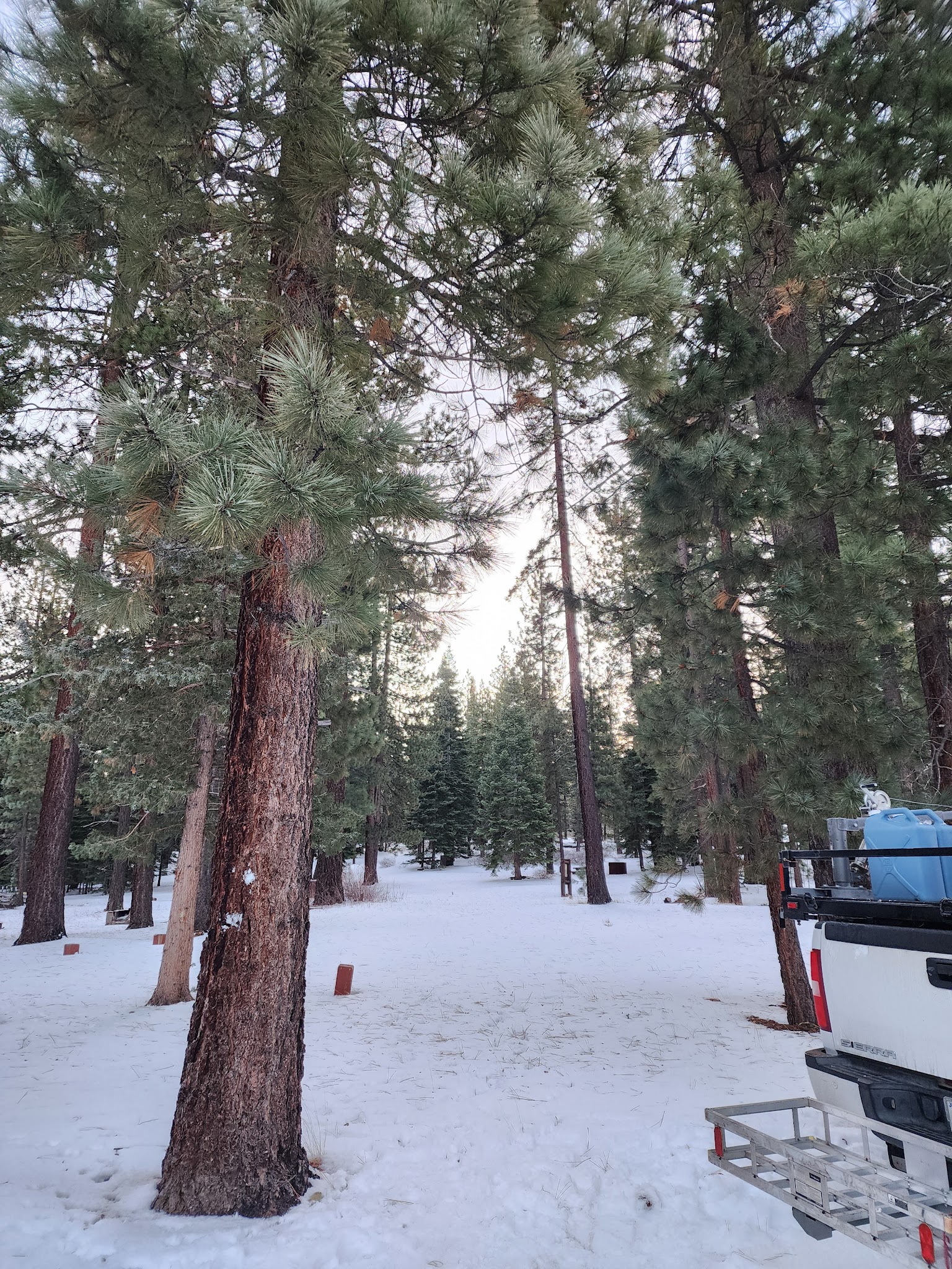Bear Valley Campground