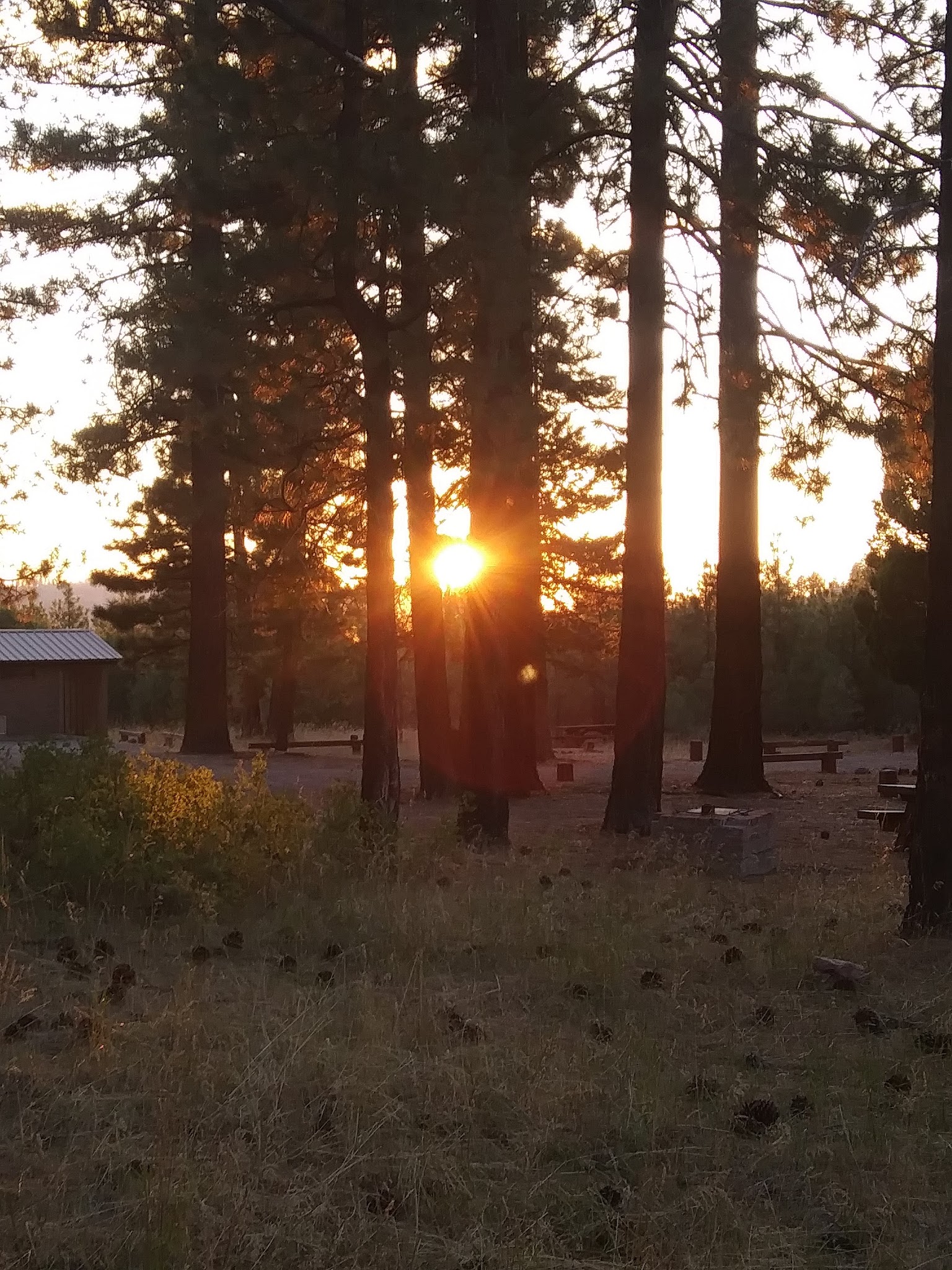 Bear Valley Campground