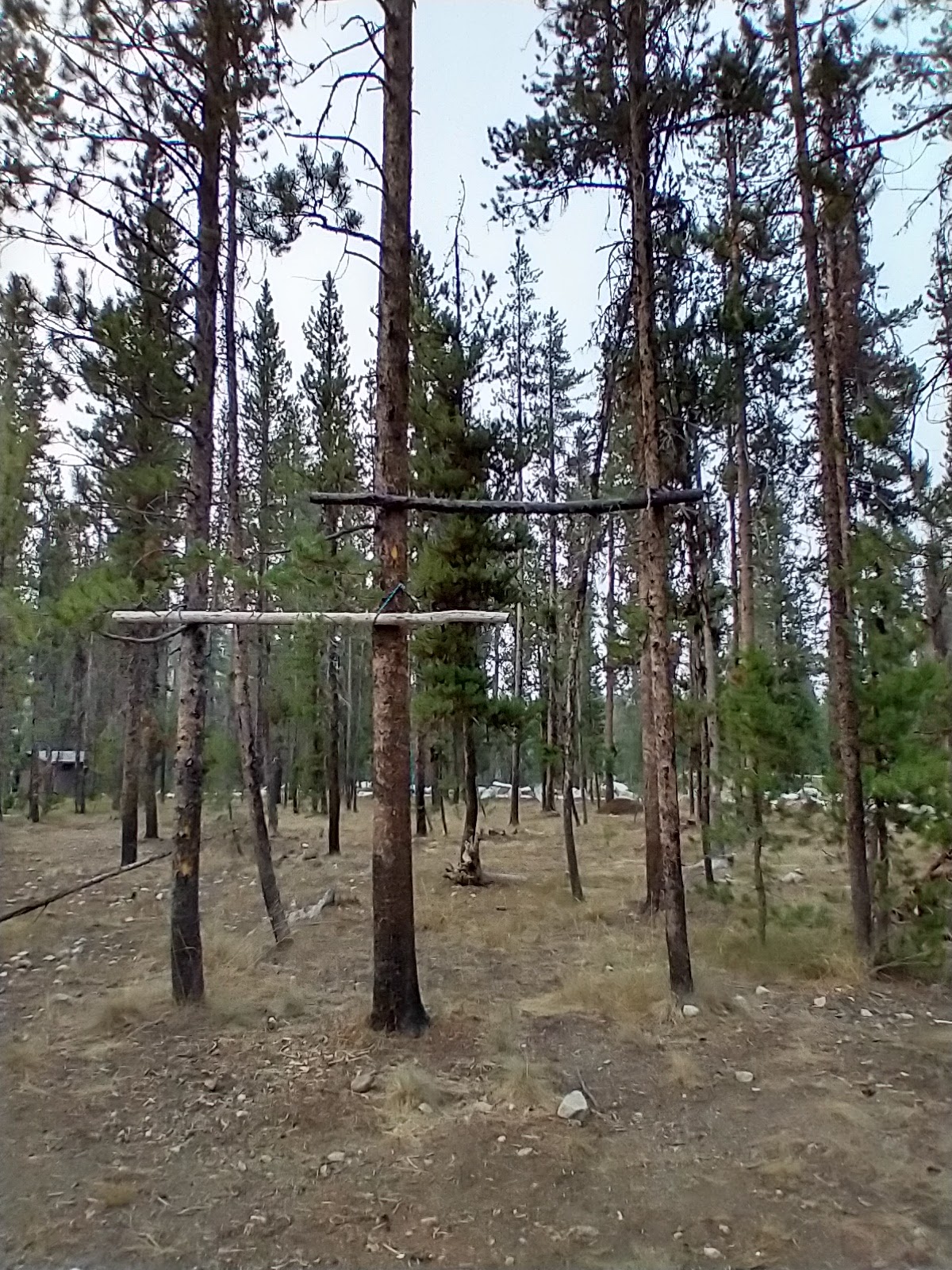 Bear Valley Campground