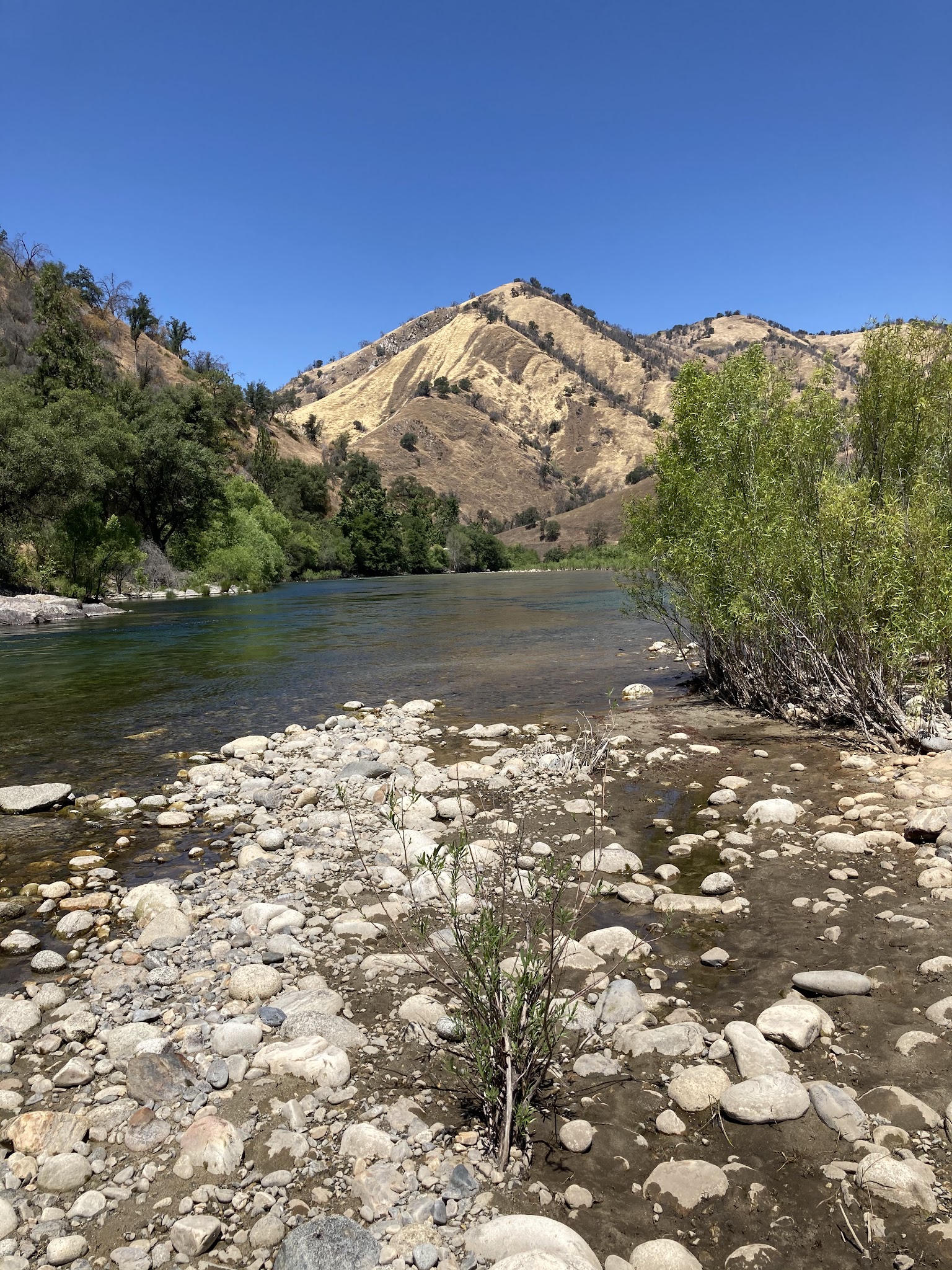 Bear Wallow Camping Area