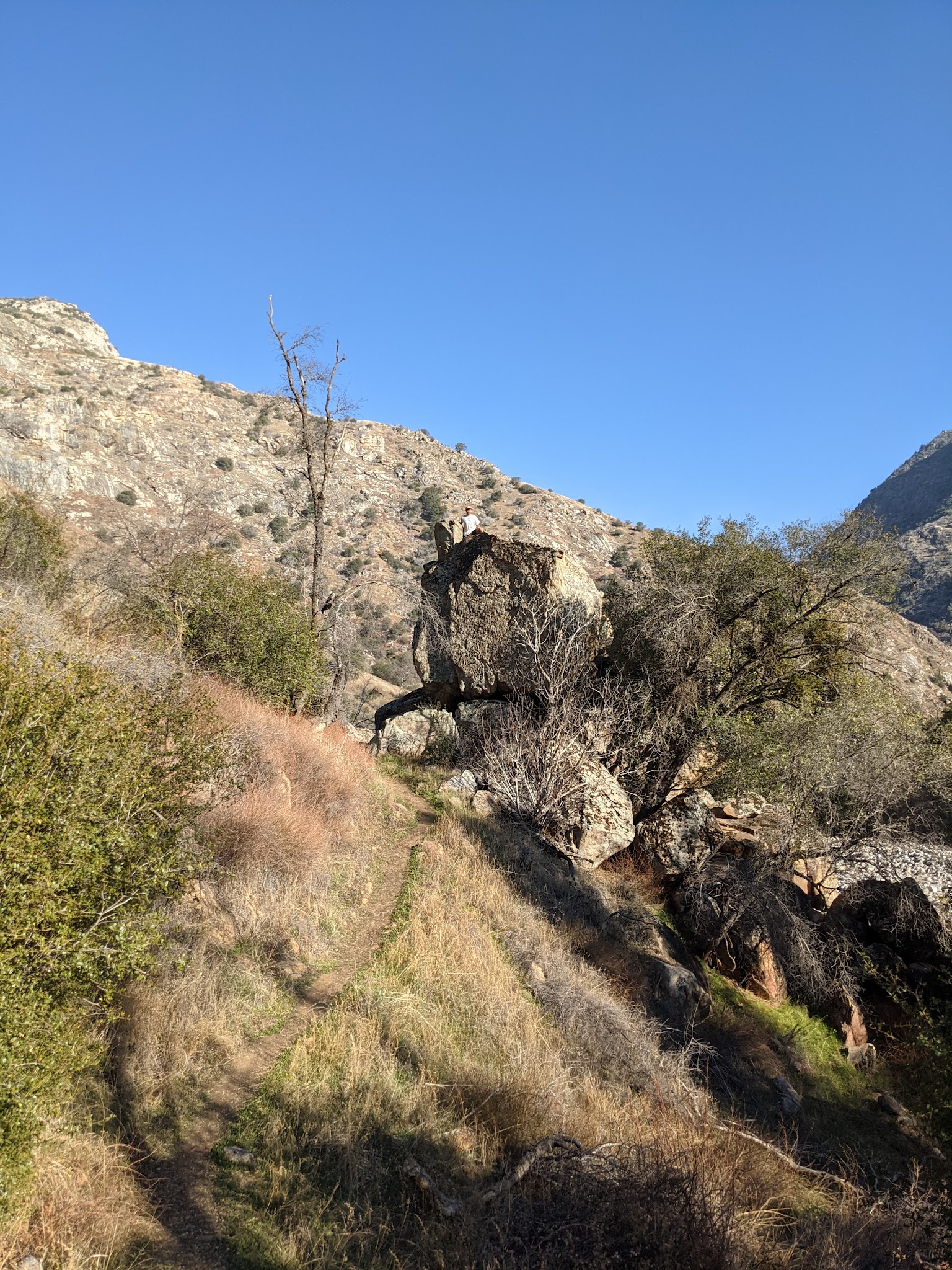 Bear Wallow Camping Area