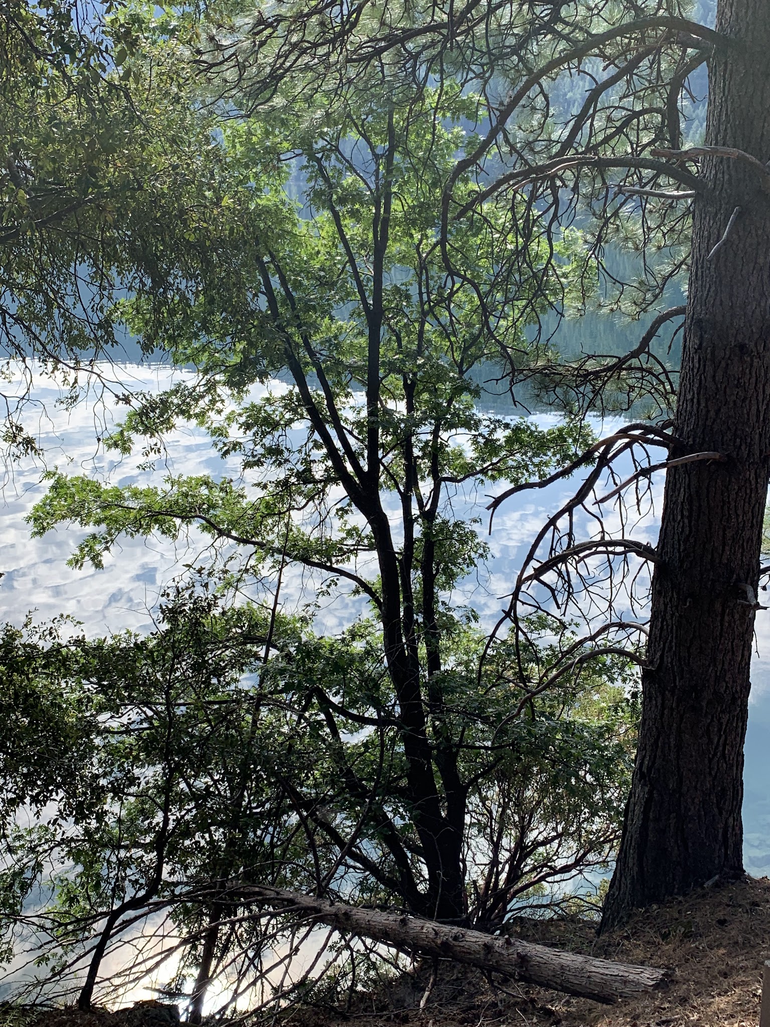 Beardsley Dam Campground