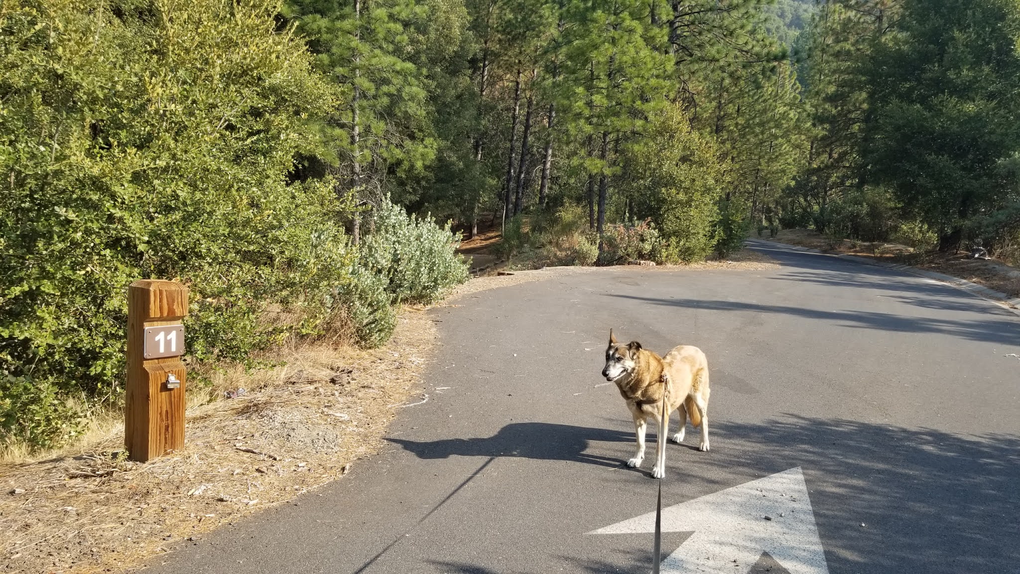 Beardsley Dam Campground