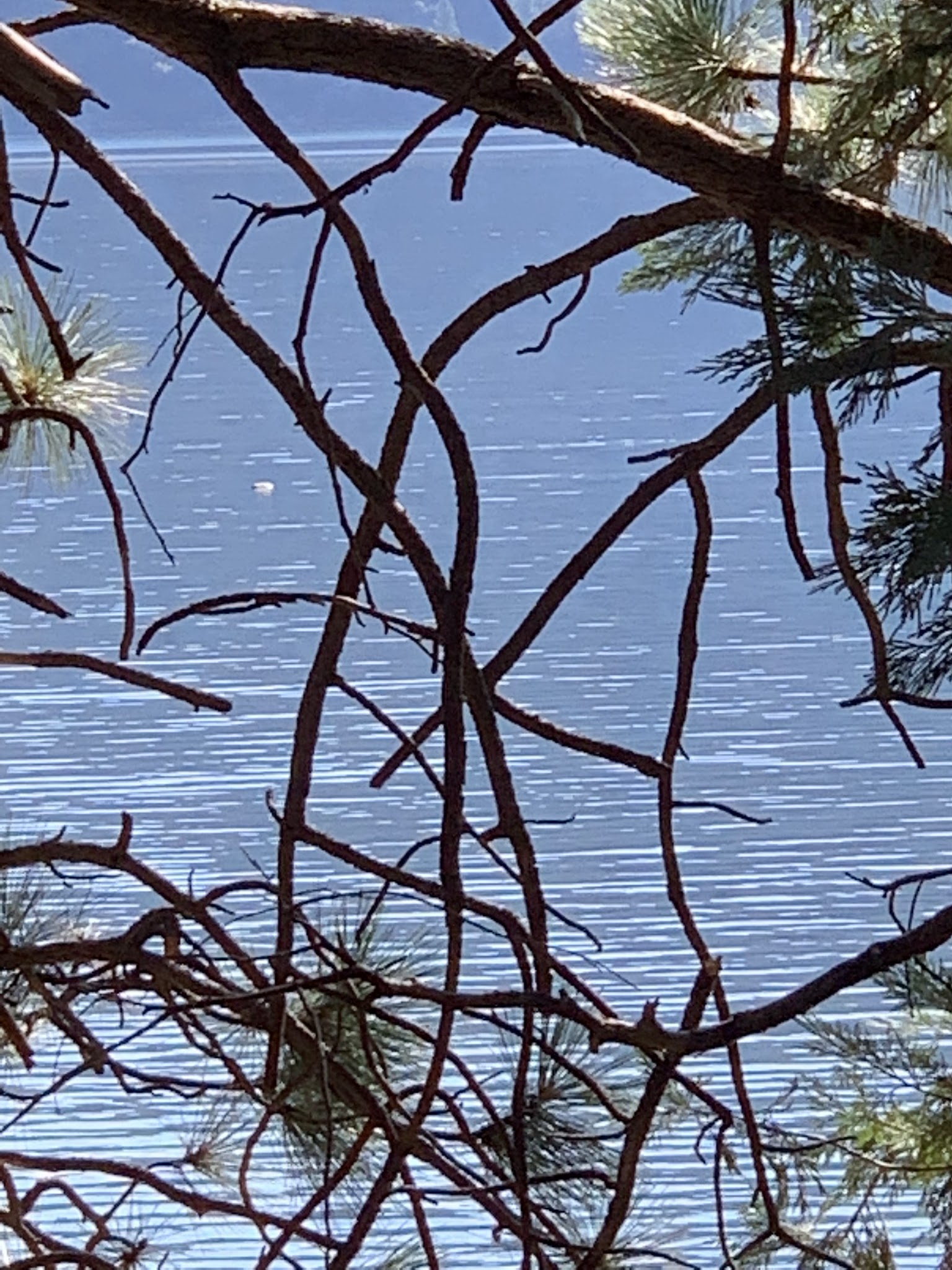 Beardsley Dam Campground
