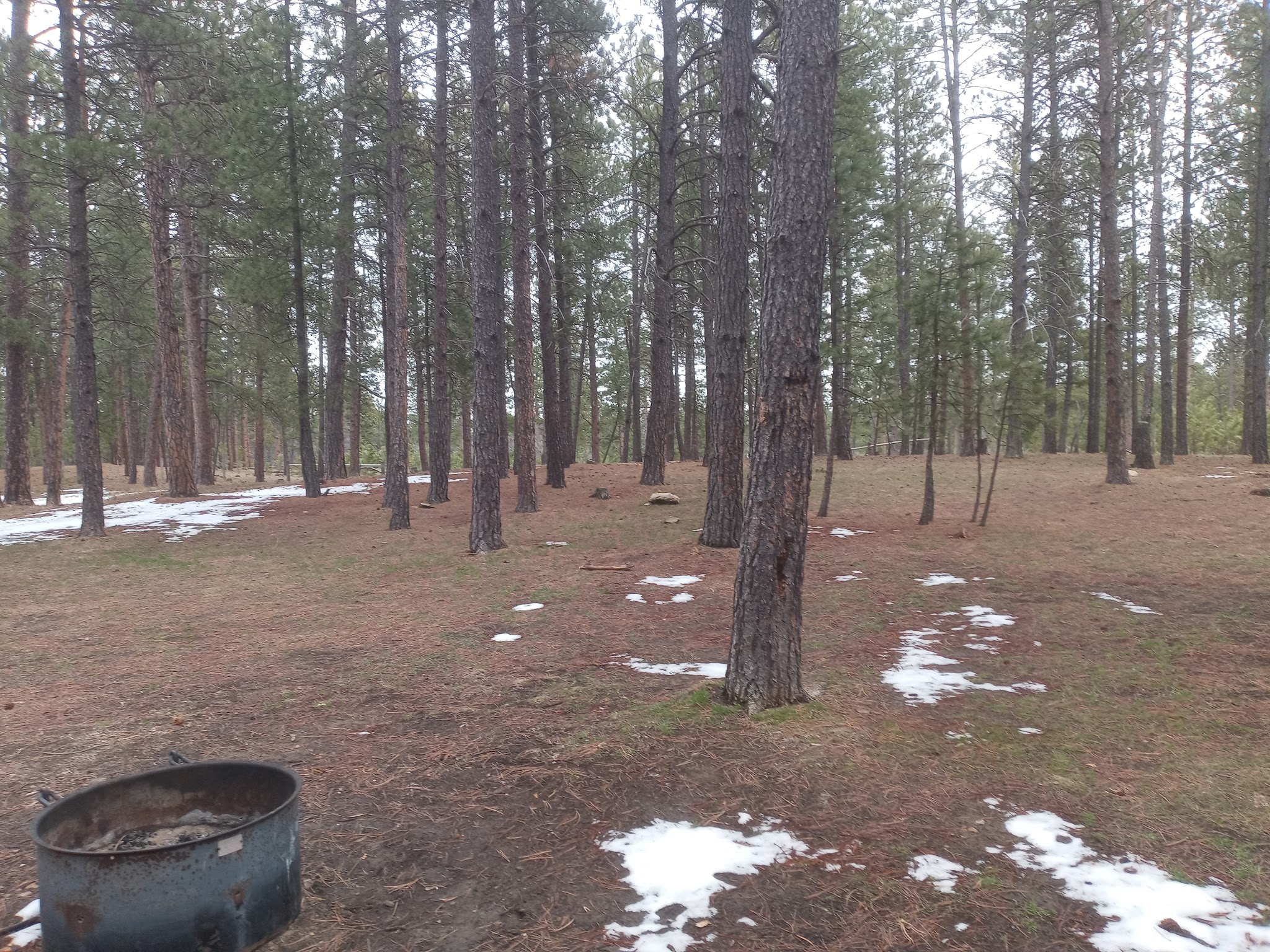 Bearlodge Campground