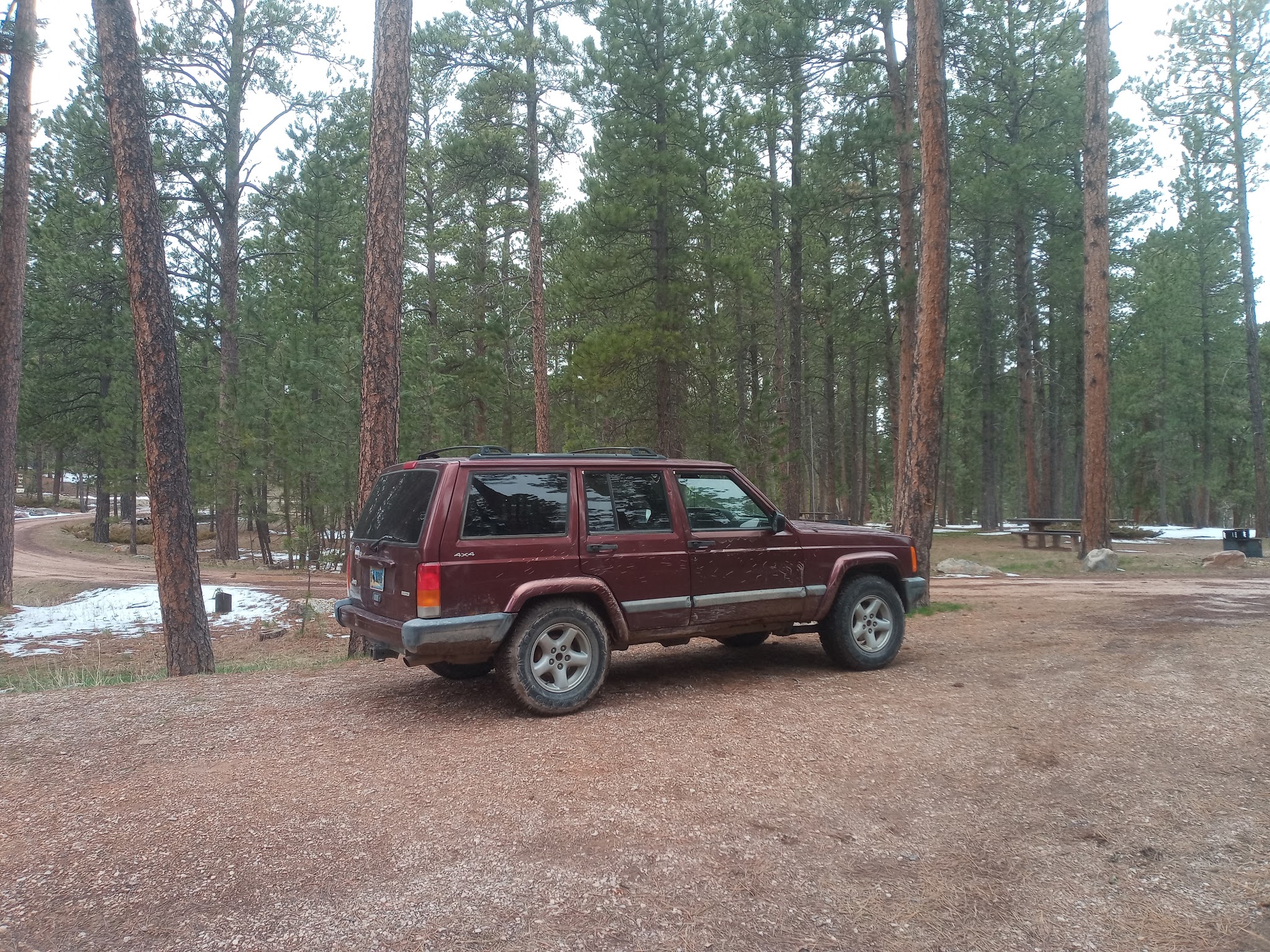 Bearlodge Campground
