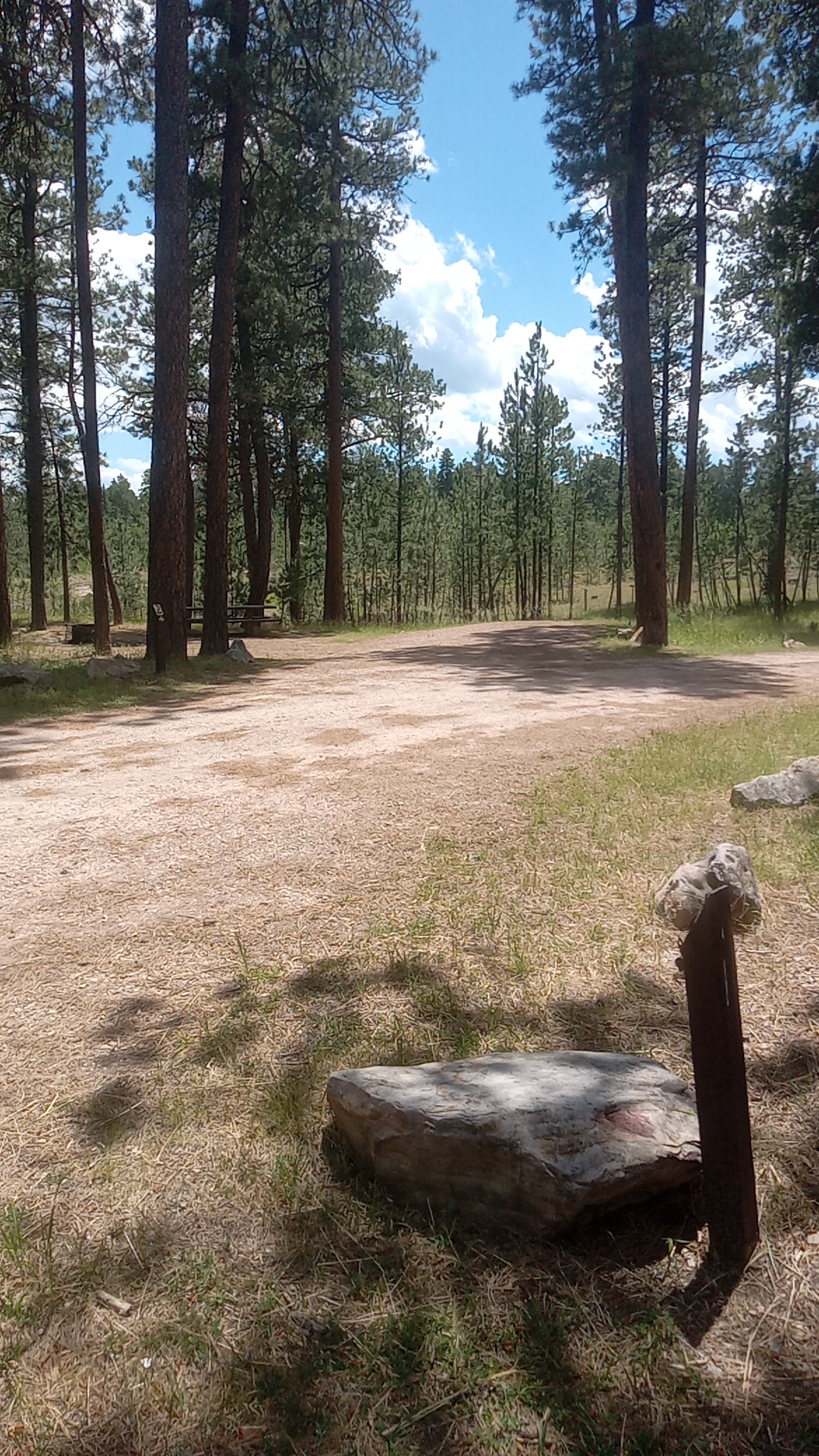 Bearlodge Campground
