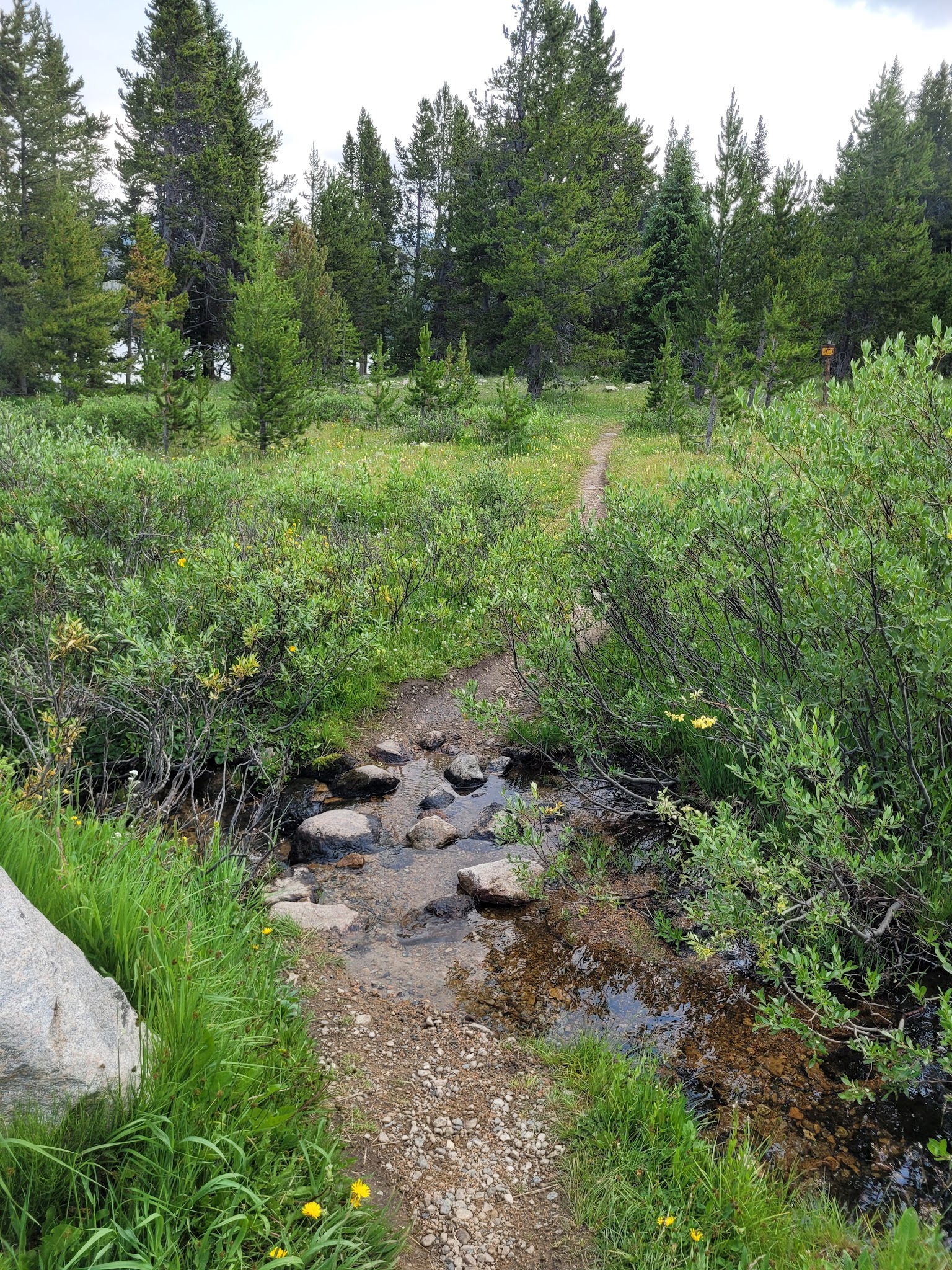 Beartooth Lake Campground