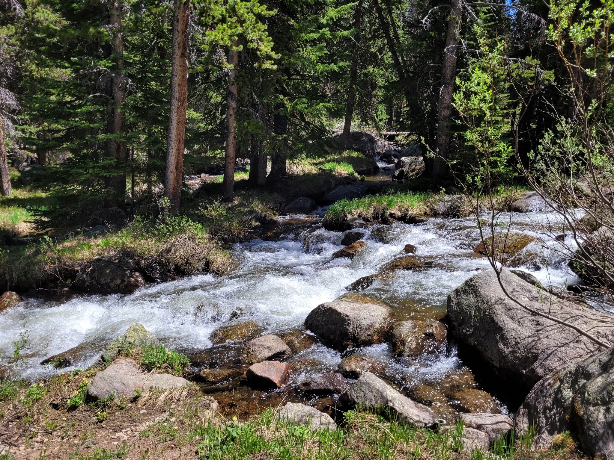 Beartooth Lake Campground